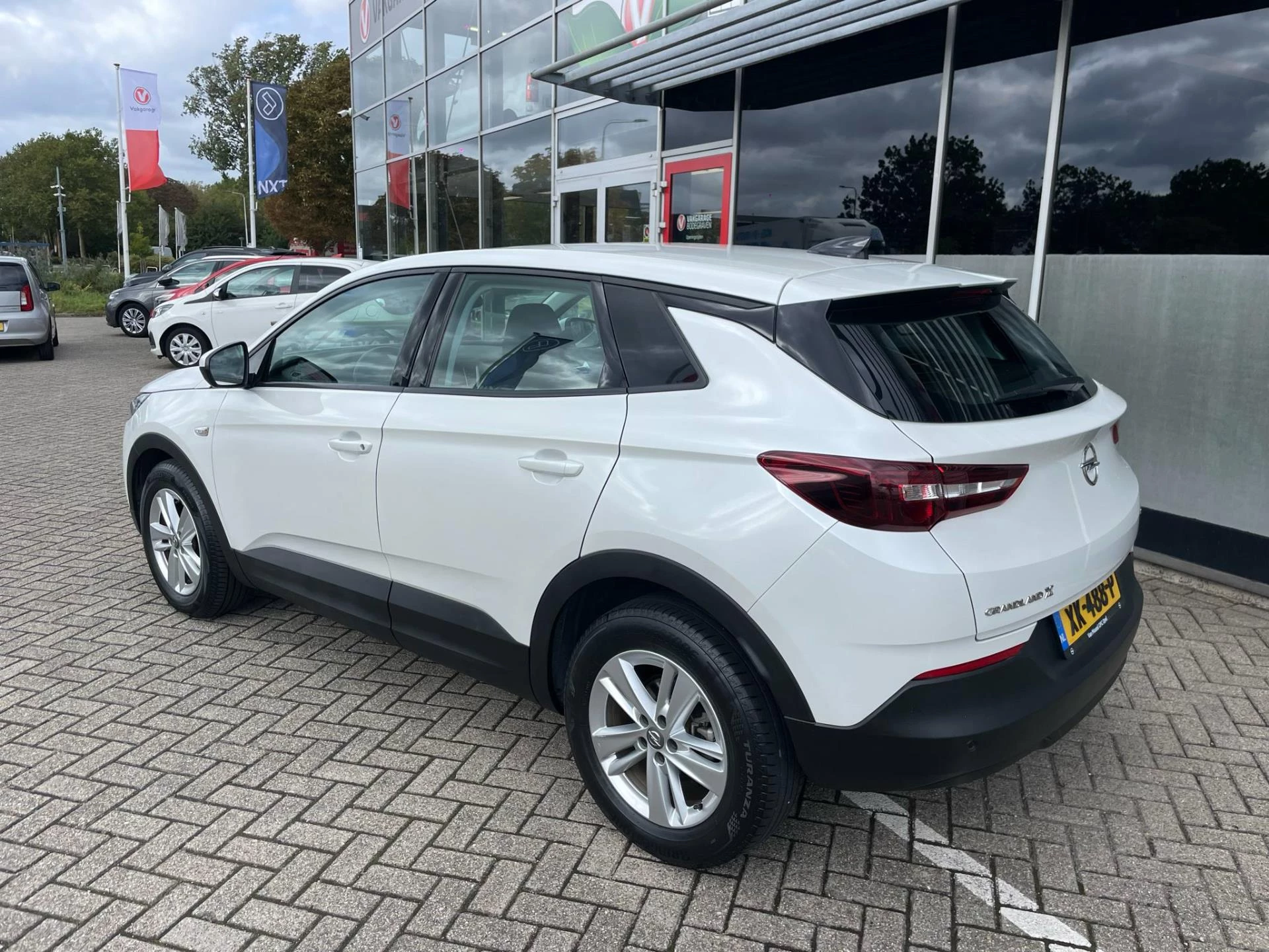 Hoofdafbeelding Opel Grandland X