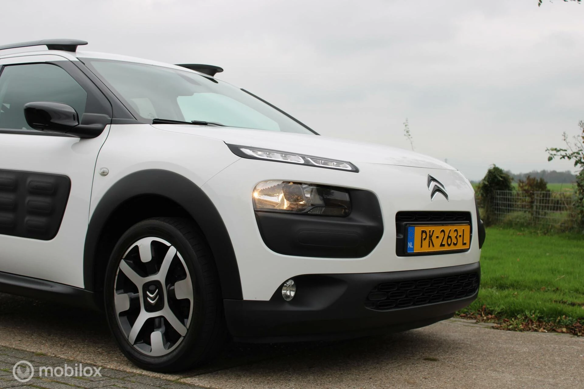 Hoofdafbeelding Citroën C4 Cactus