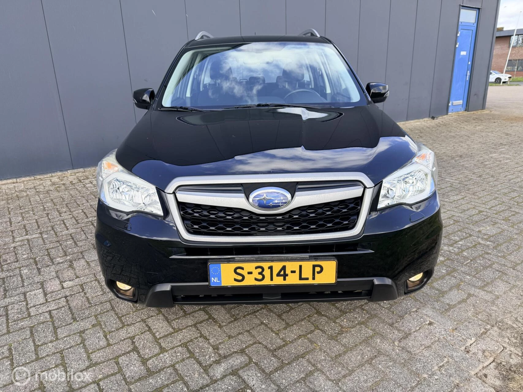 Hoofdafbeelding Subaru Forester
