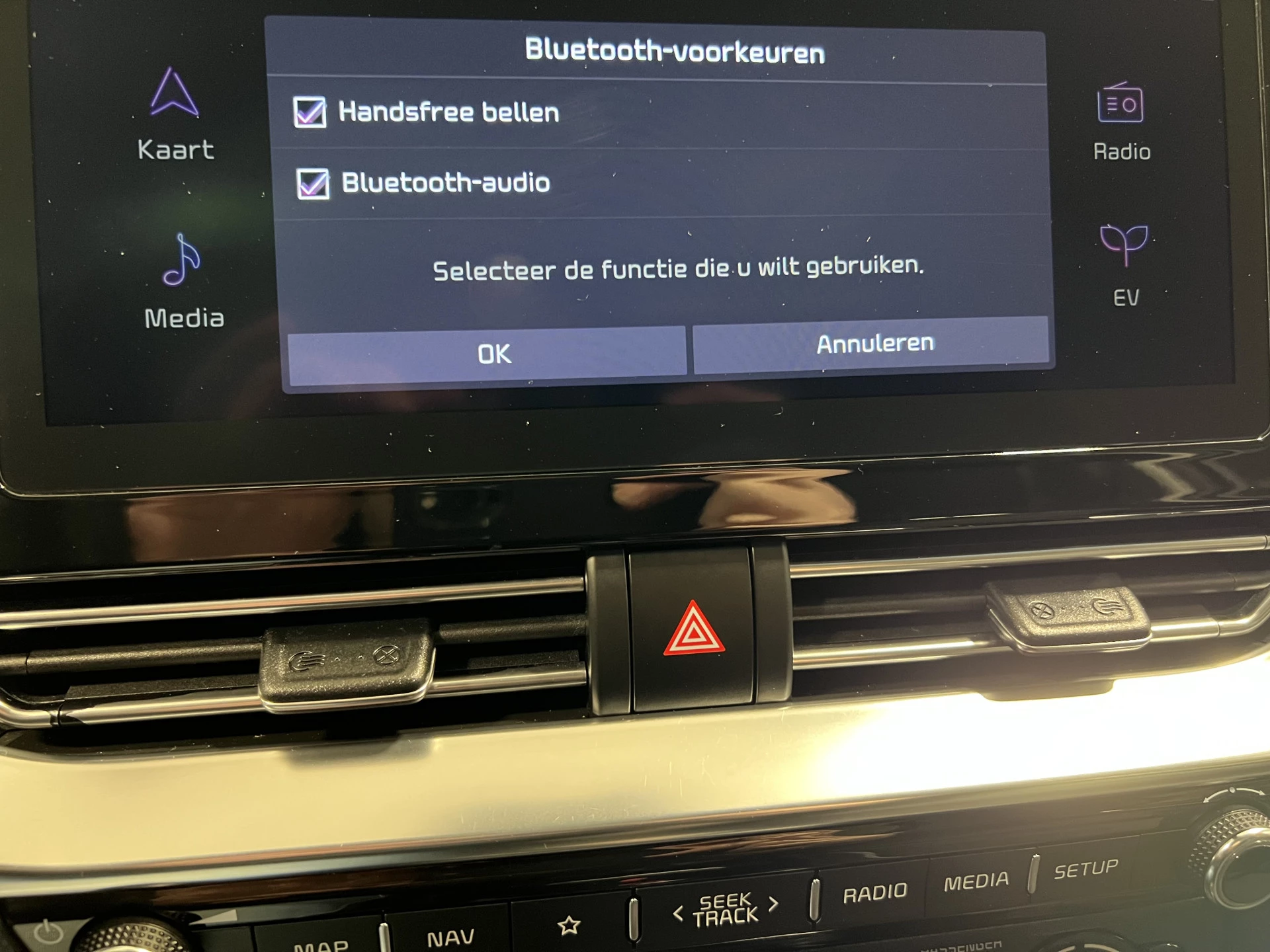 Hoofdafbeelding Kia e-Niro