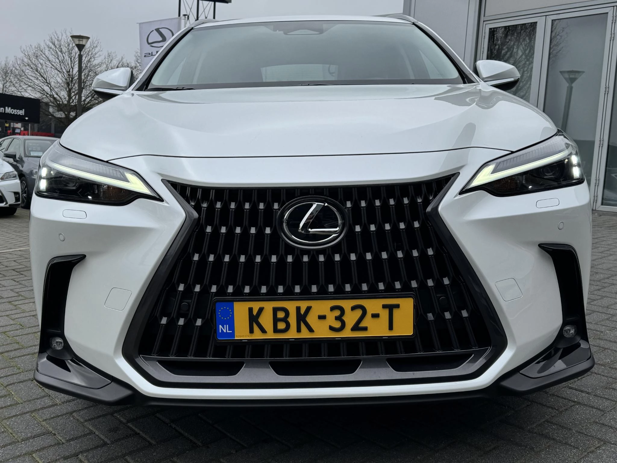 Hoofdafbeelding Lexus NX