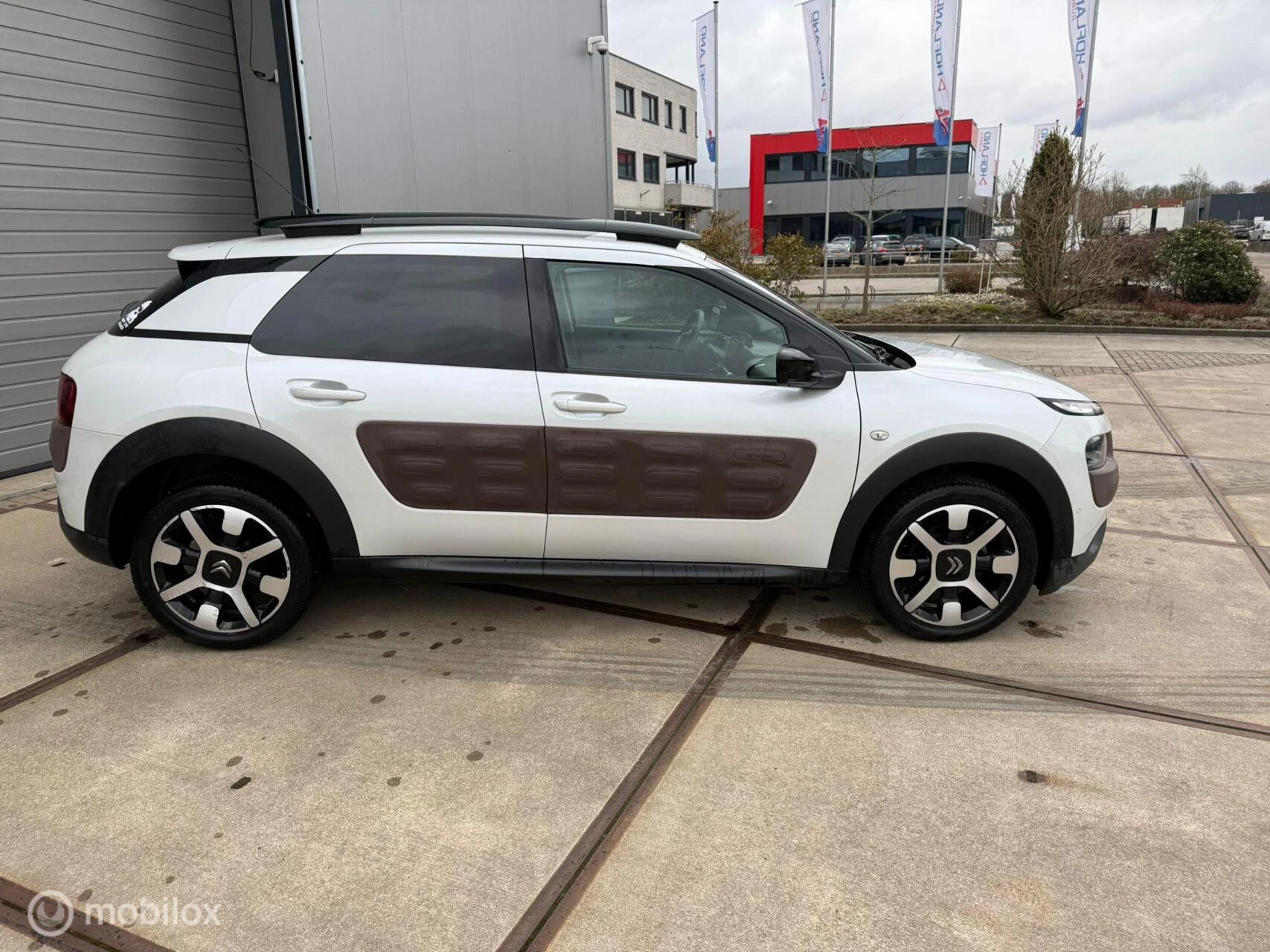 Hoofdafbeelding Citroën C4 Cactus
