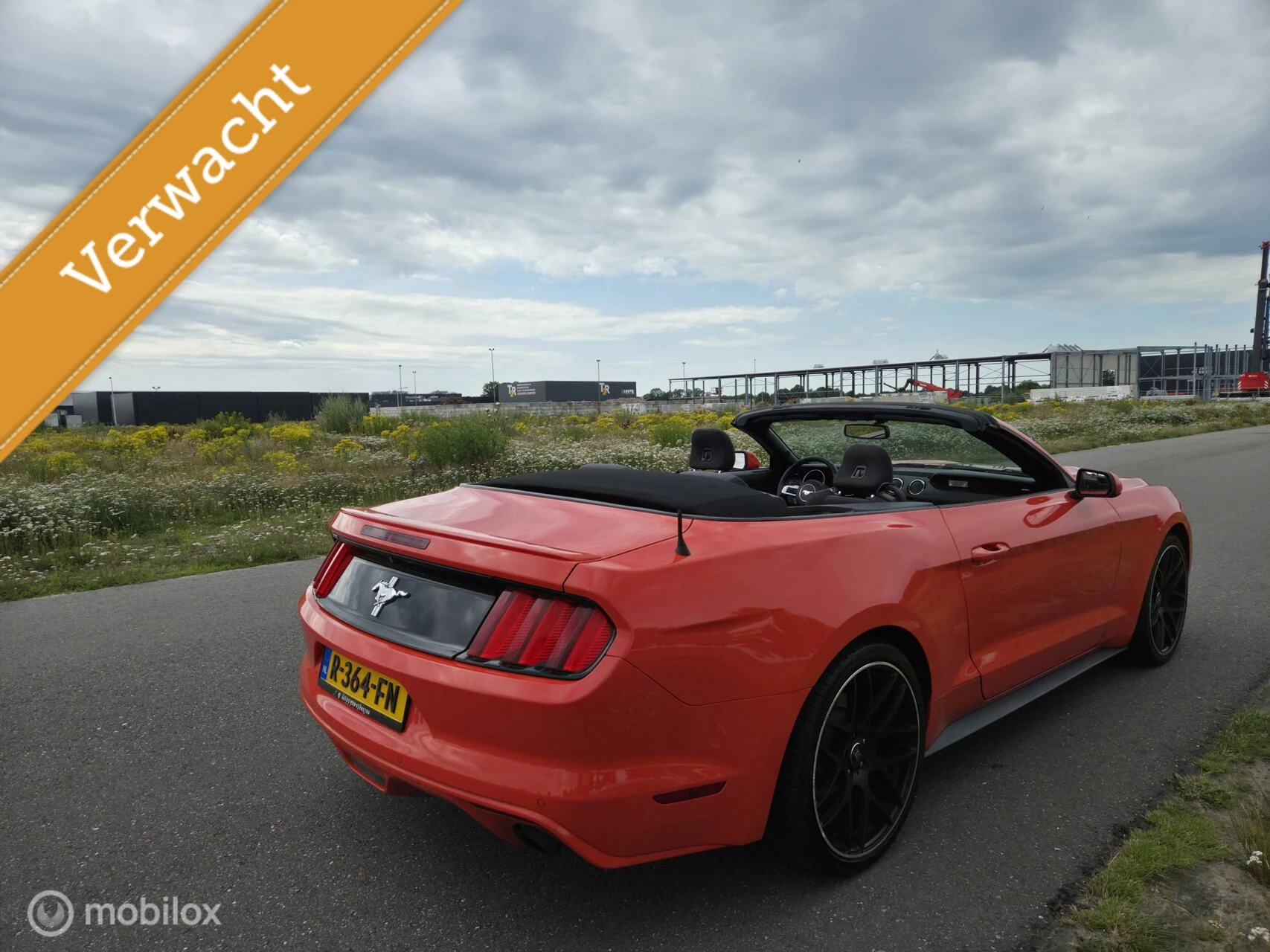 Hoofdafbeelding Ford Mustang
