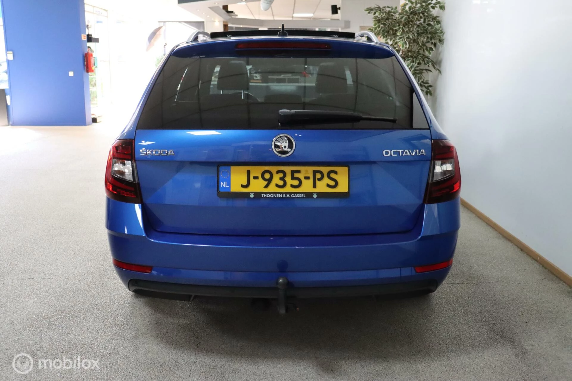 Hoofdafbeelding Škoda Octavia