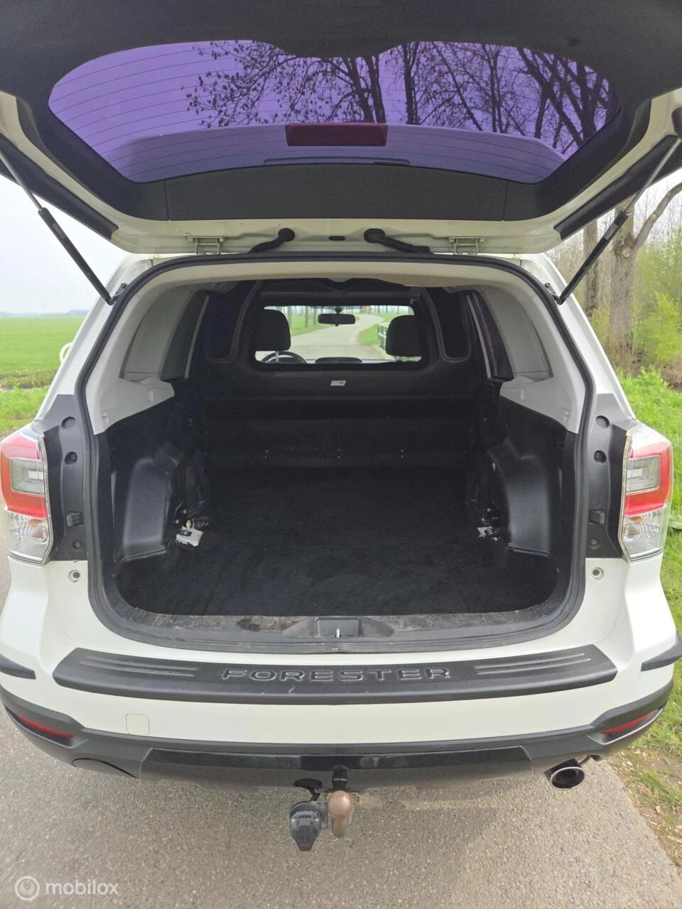 Hoofdafbeelding Subaru Forester