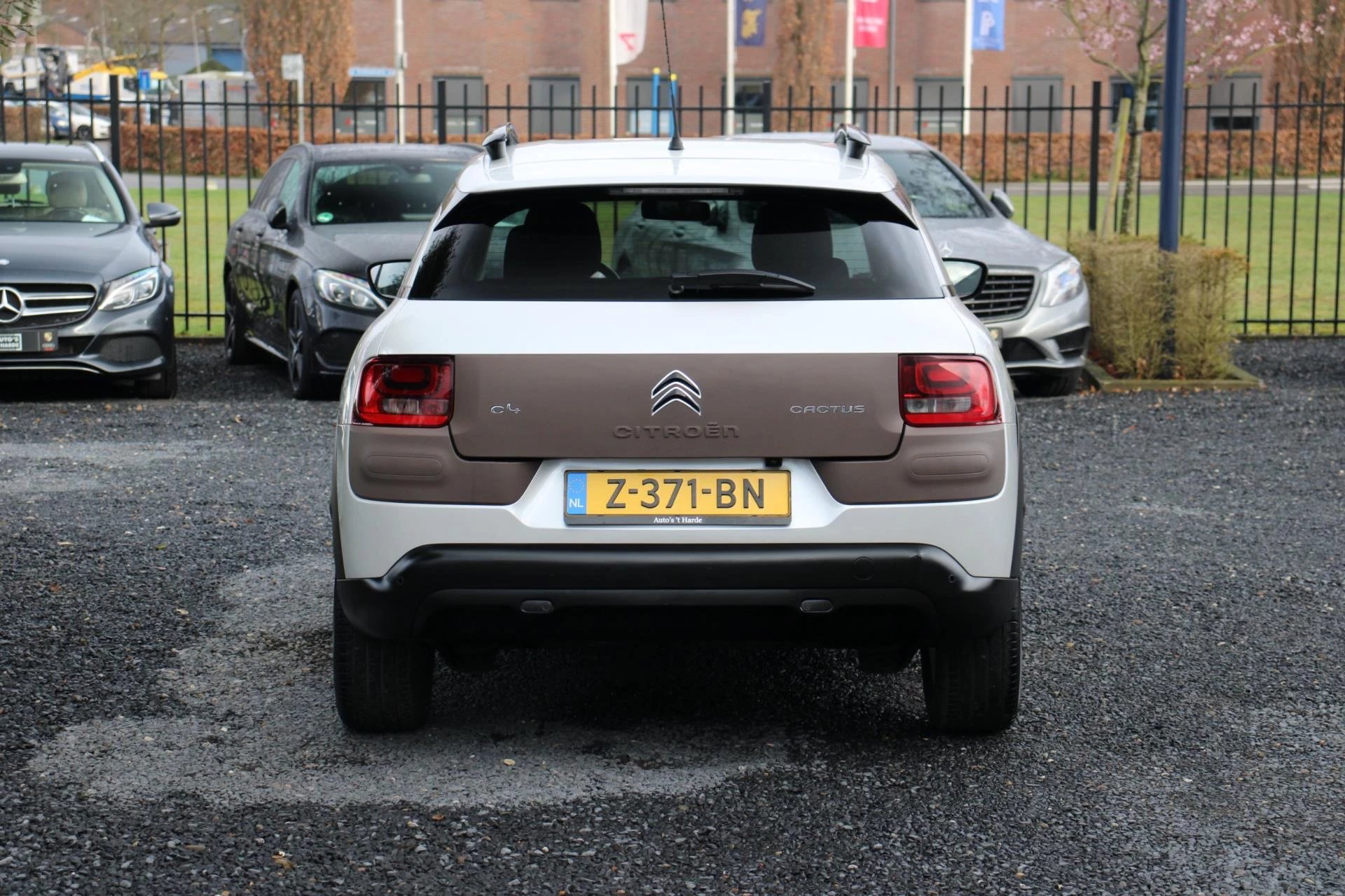 Hoofdafbeelding Citroën C4 Cactus