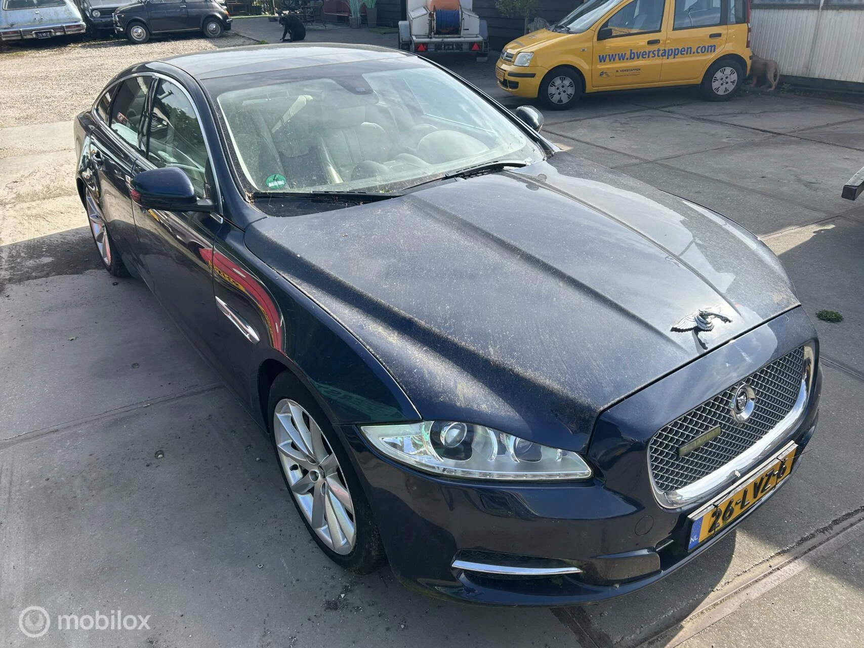 Hoofdafbeelding Jaguar XJ