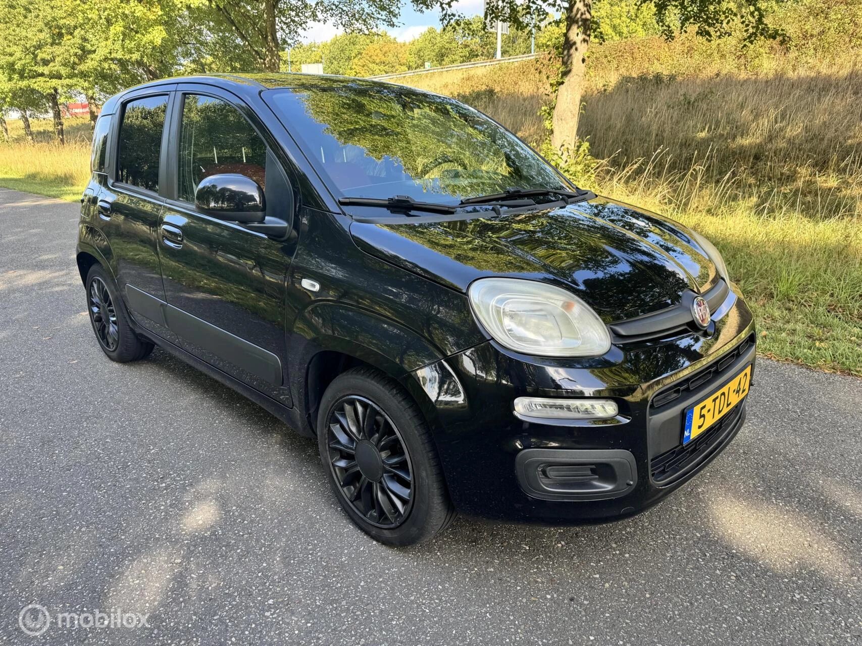 Hoofdafbeelding Fiat Panda