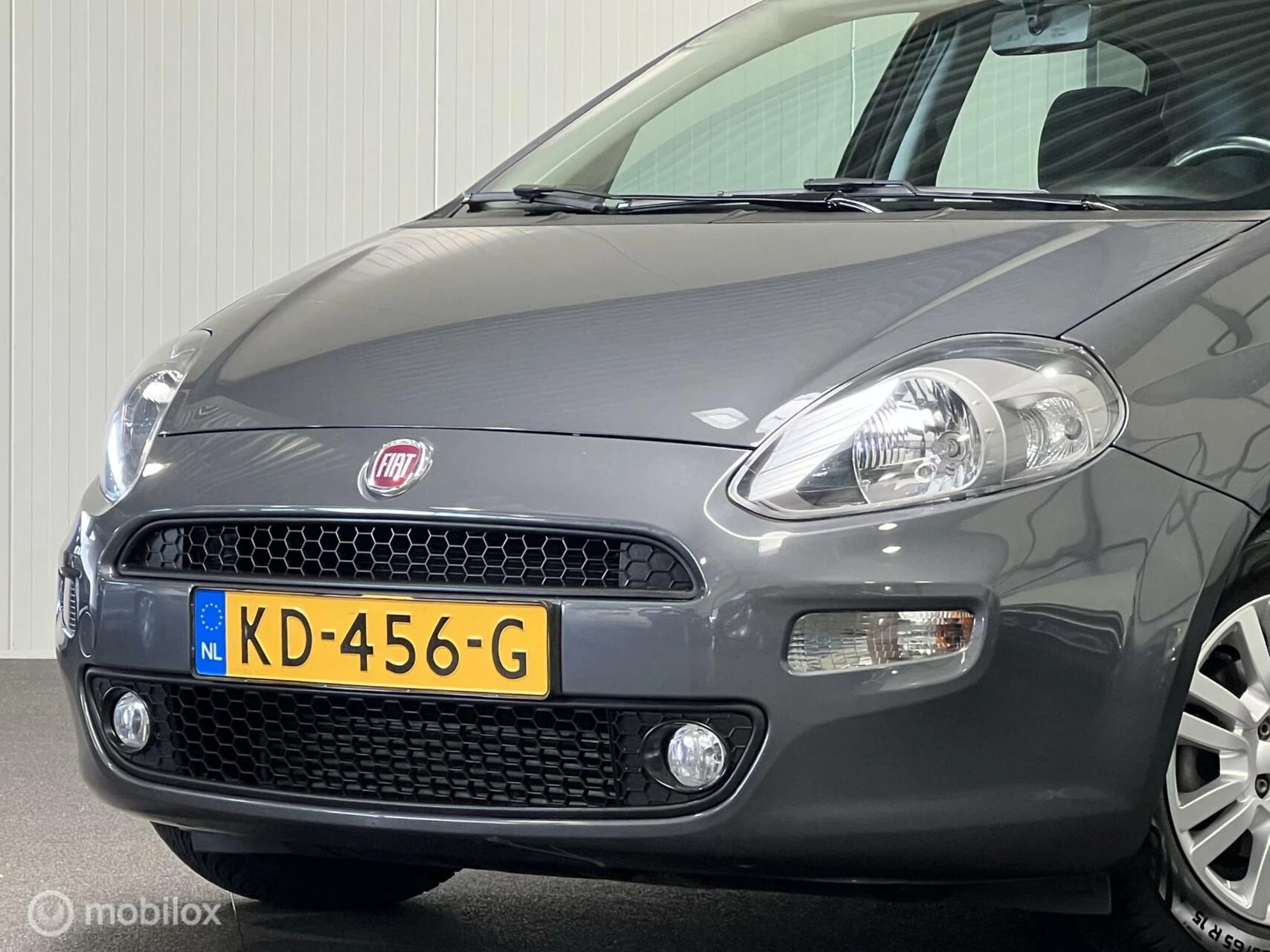 Hoofdafbeelding Fiat Punto