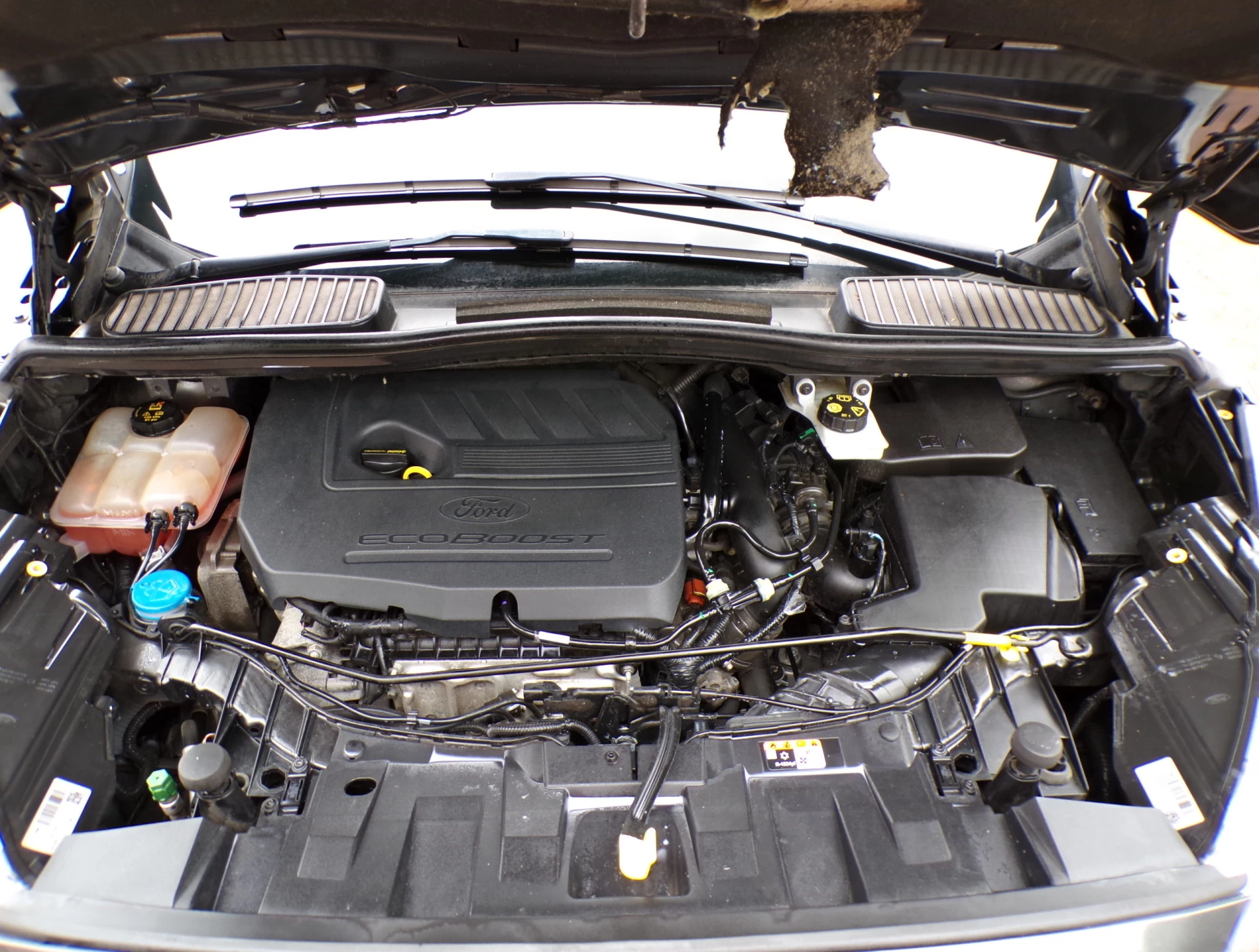 Hoofdafbeelding Ford C-MAX