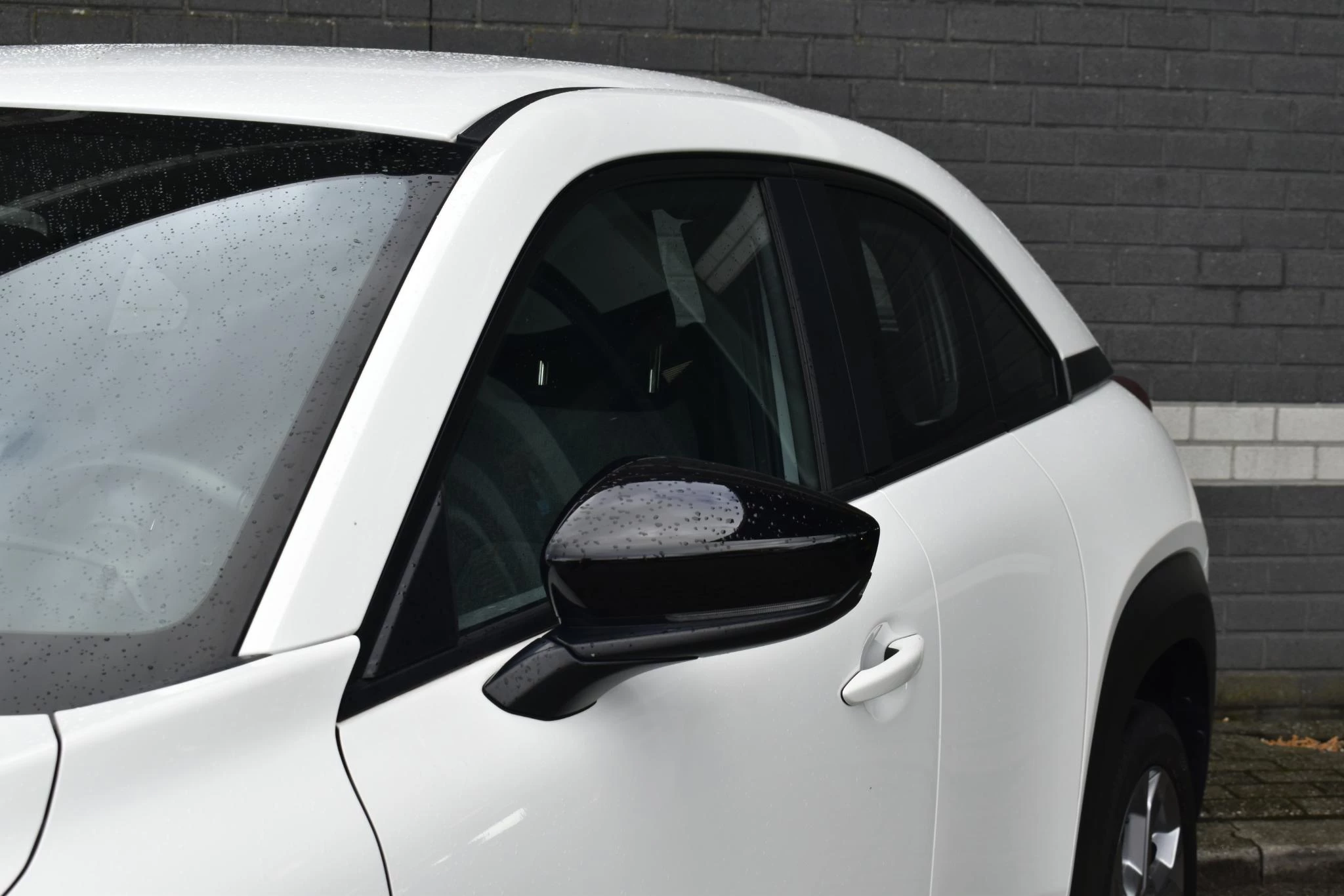 Hoofdafbeelding Mazda MX-30