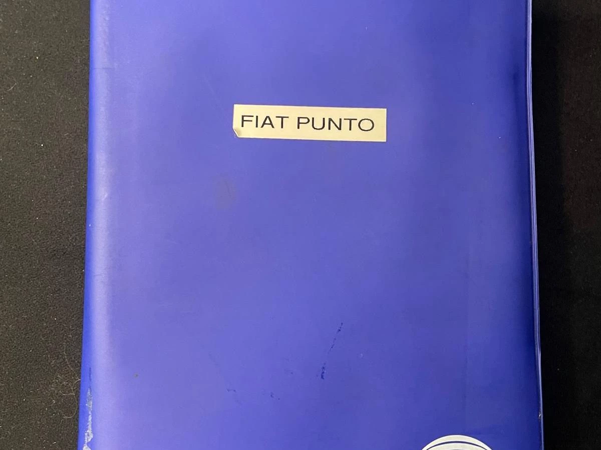 Hoofdafbeelding Fiat Punto