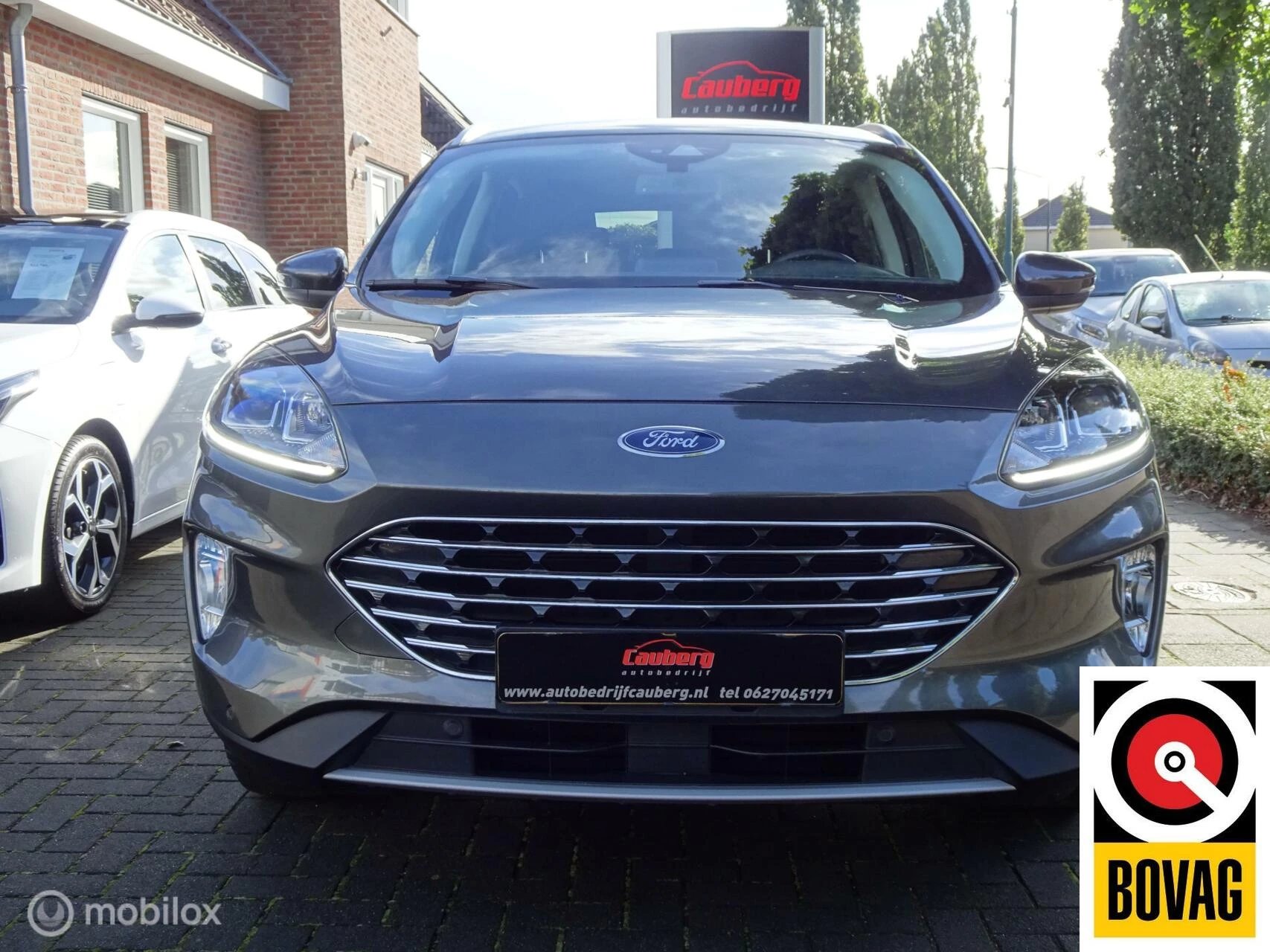 Hoofdafbeelding Ford Kuga