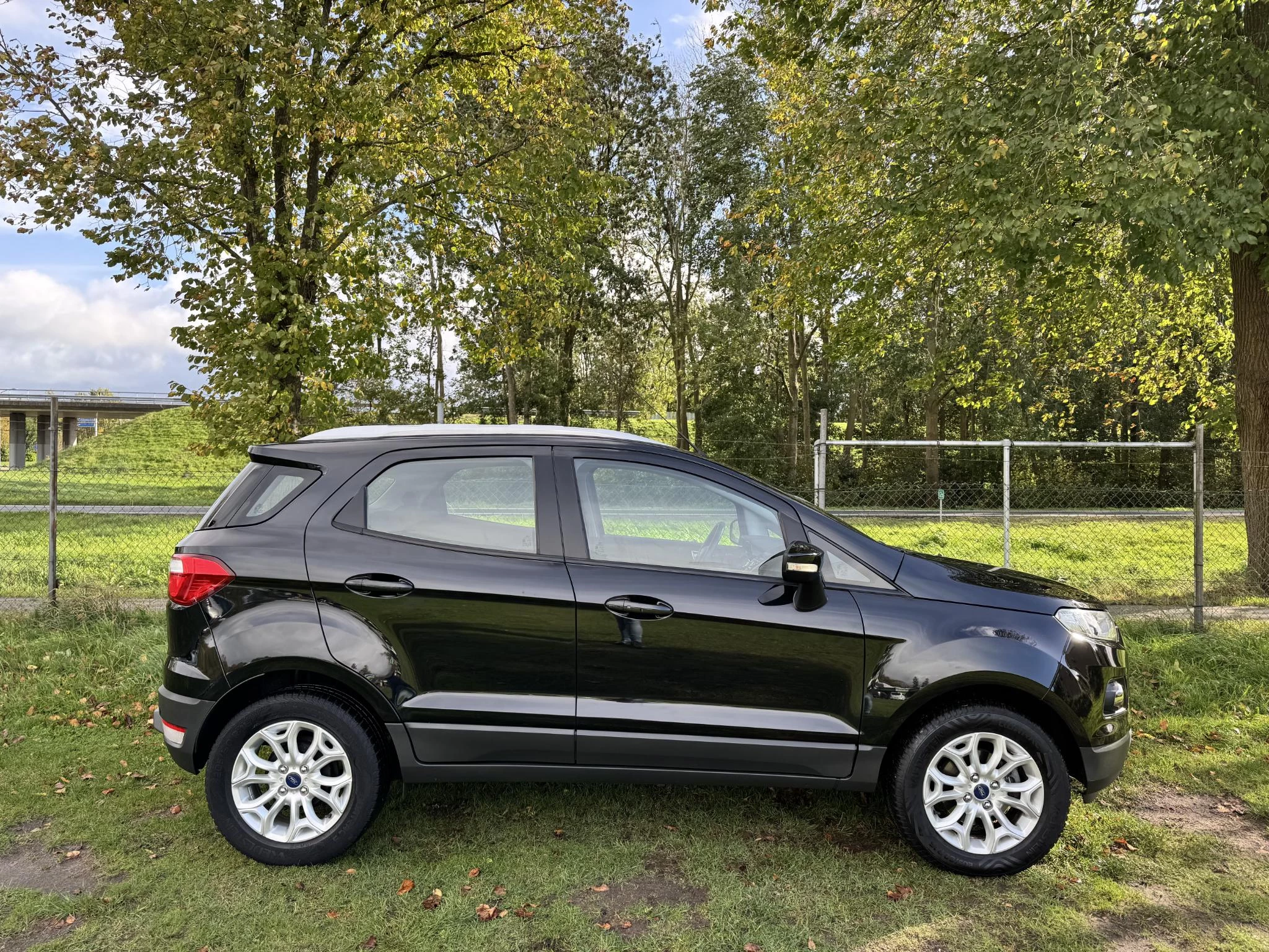Hoofdafbeelding Ford EcoSport