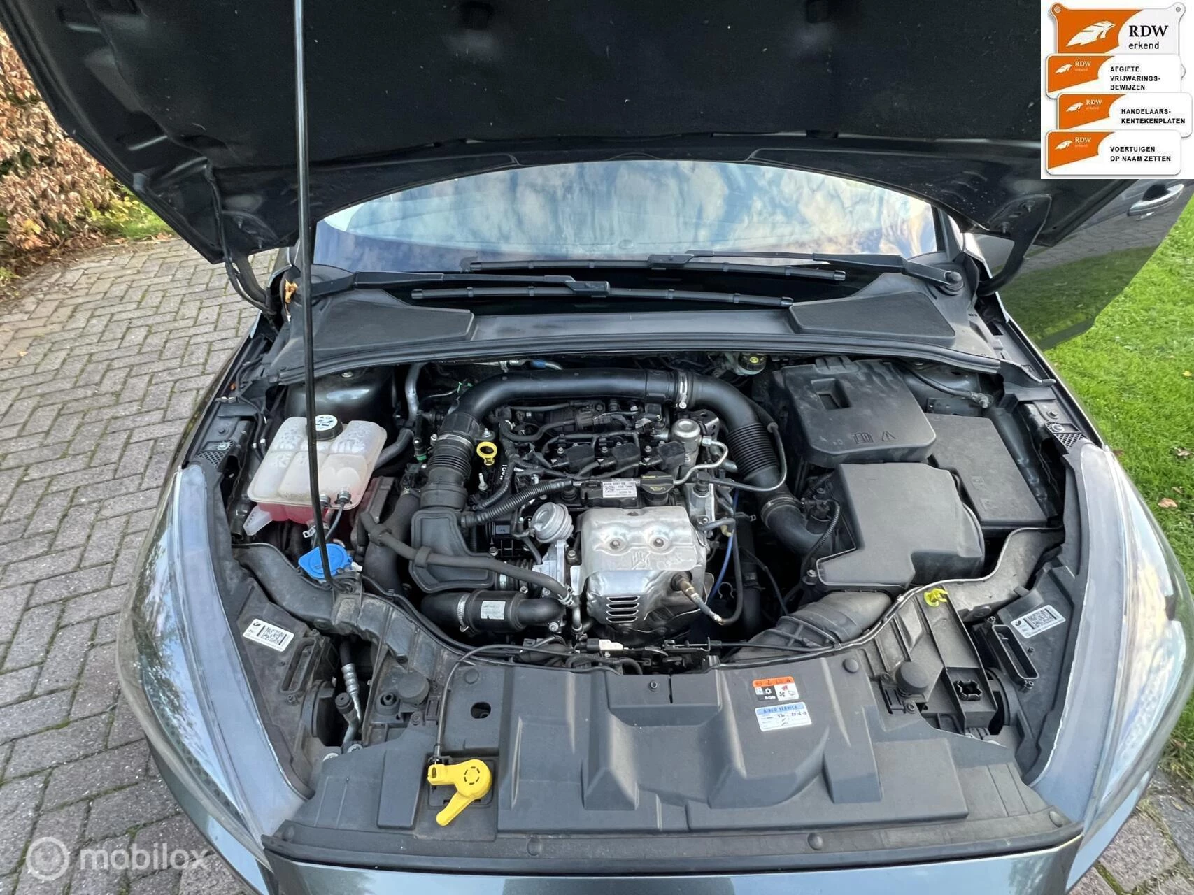 Hoofdafbeelding Ford Focus