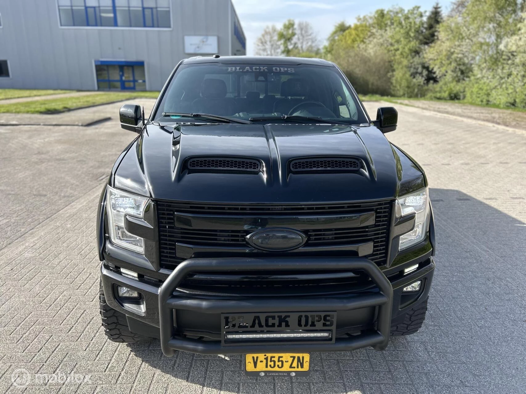 Hoofdafbeelding Ford F-150