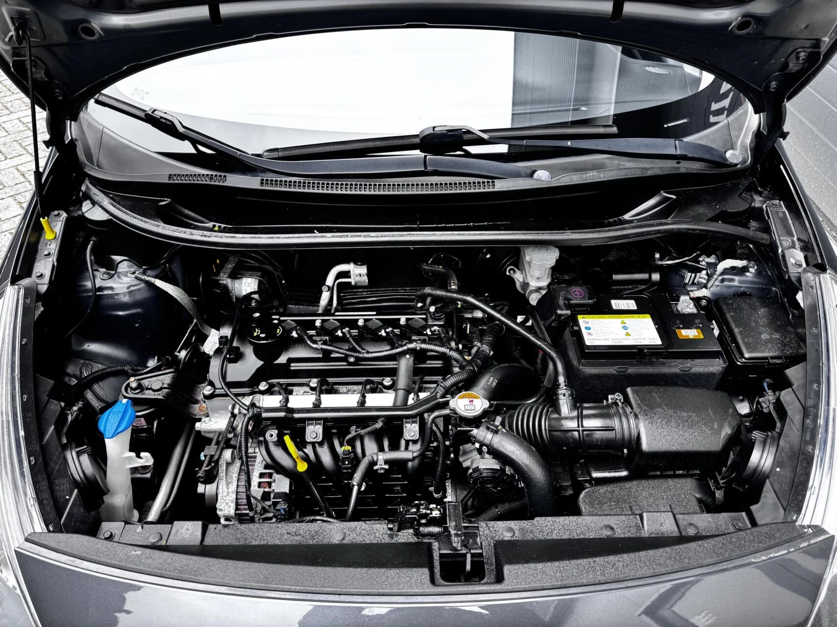 Hoofdafbeelding Kia Rio