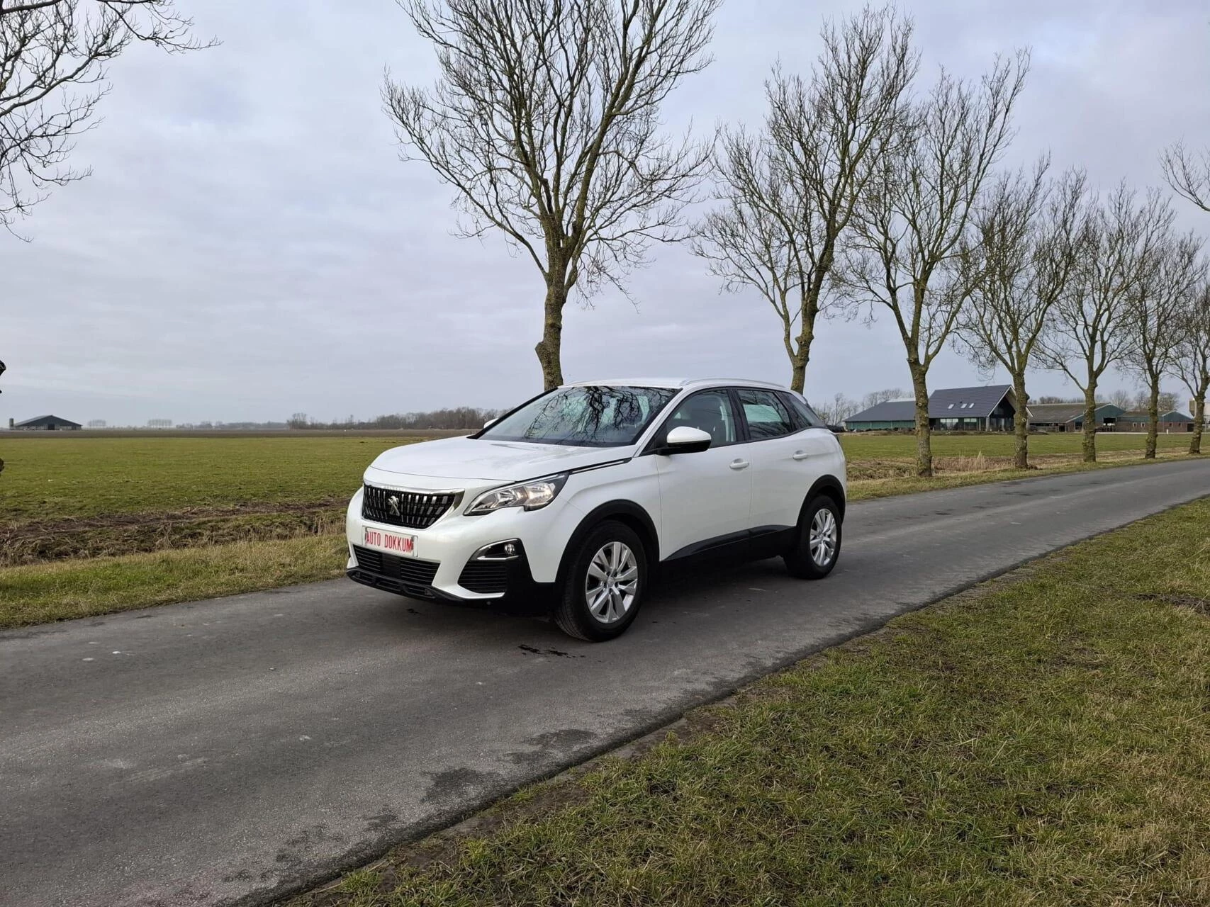 Hoofdafbeelding Peugeot 3008