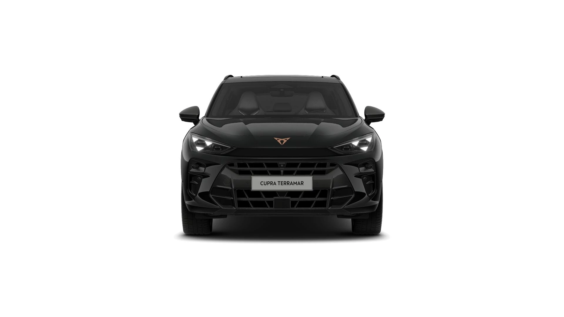 Hoofdafbeelding CUPRA Terramar