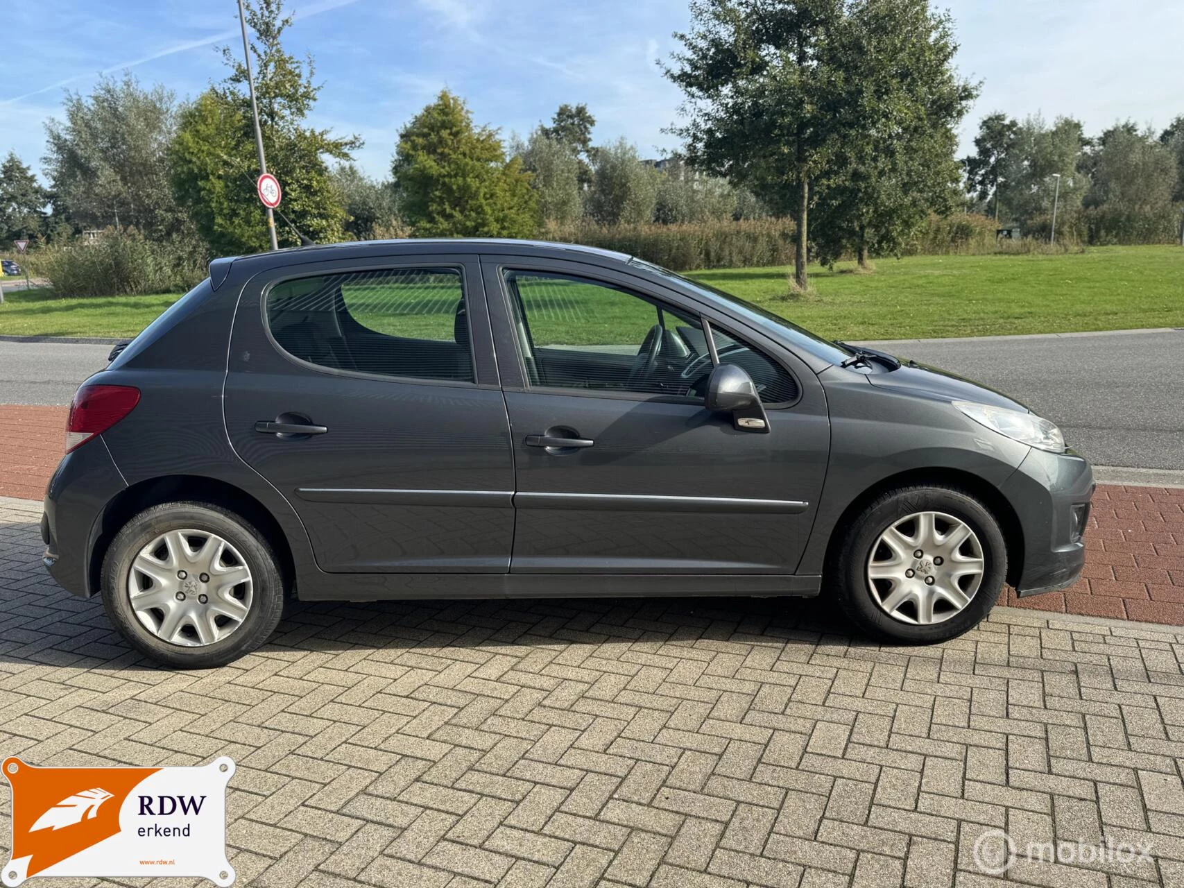 Hoofdafbeelding Peugeot 207