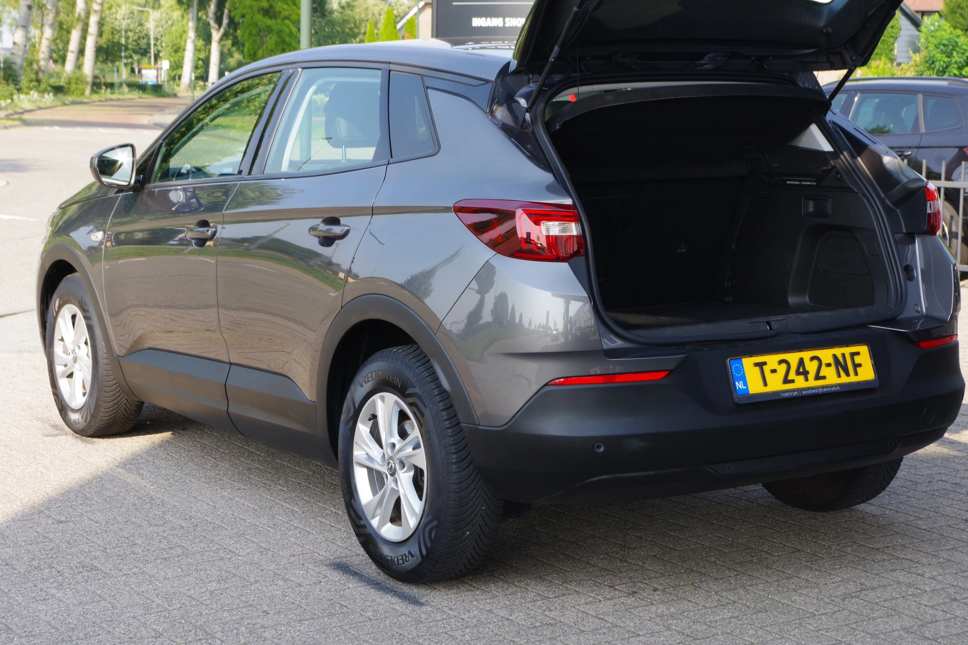Hoofdafbeelding Opel Grandland X