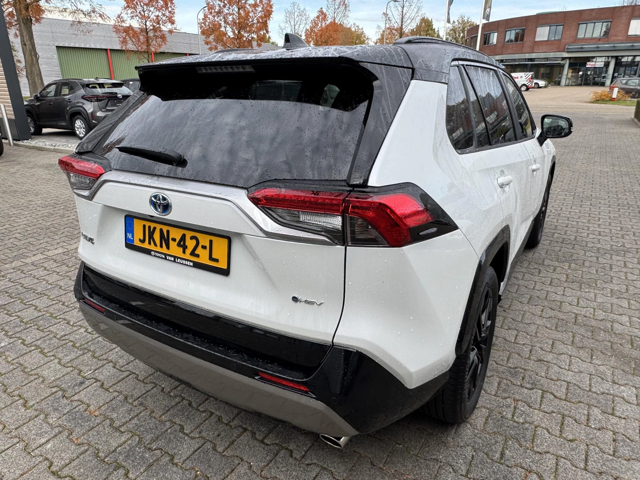 Hoofdafbeelding Toyota RAV4