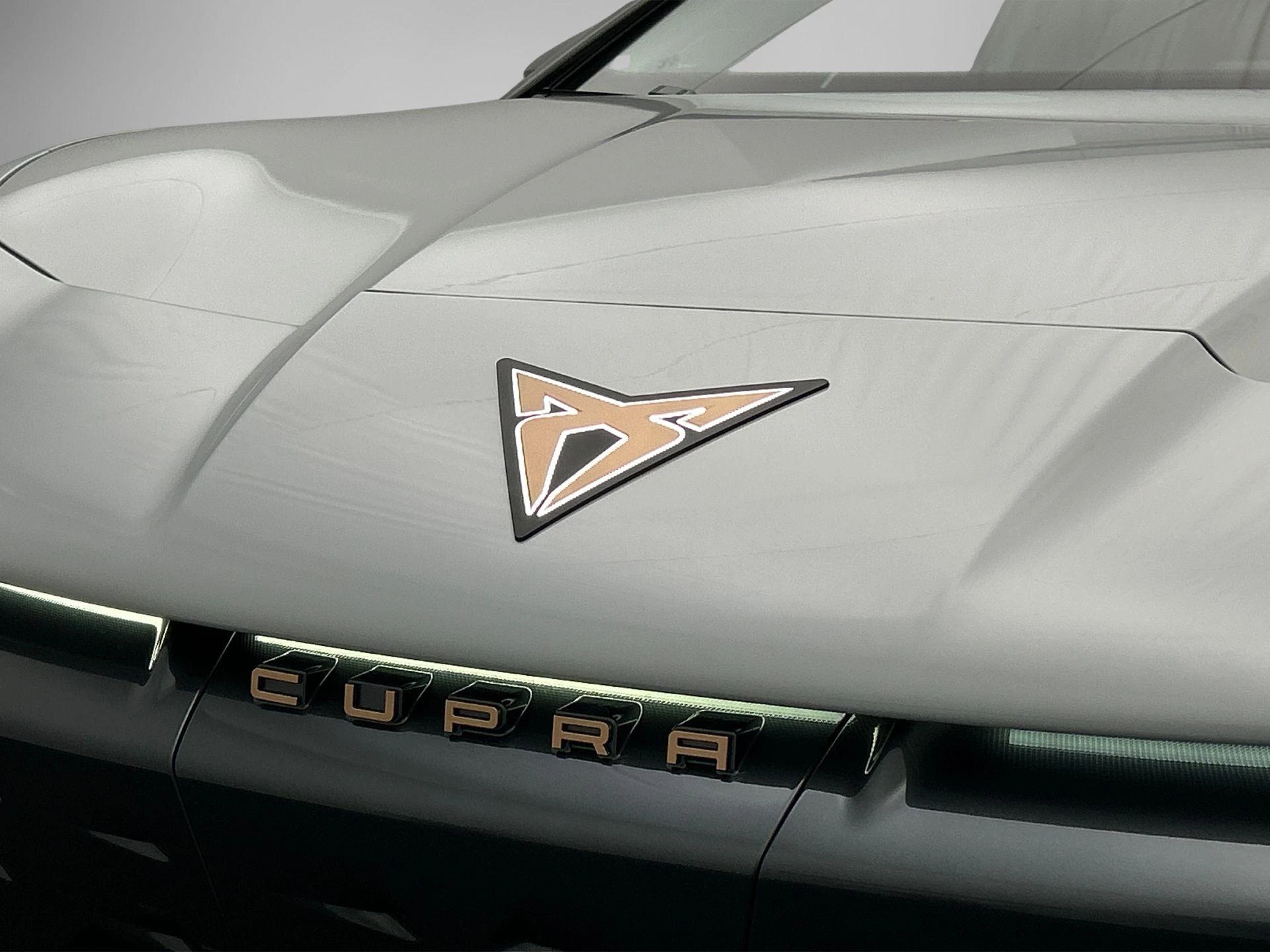Hoofdafbeelding CUPRA Tavascan