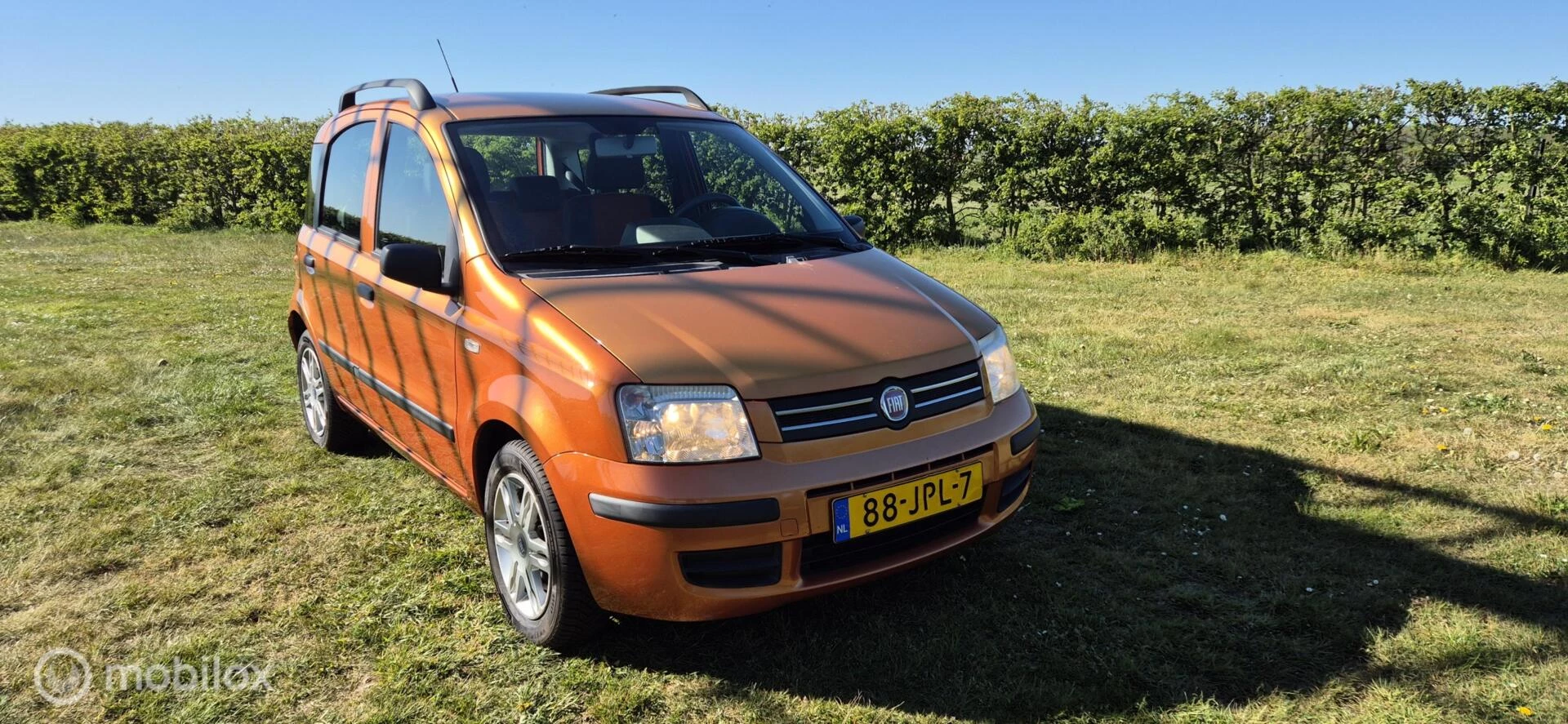 Hoofdafbeelding Fiat Panda