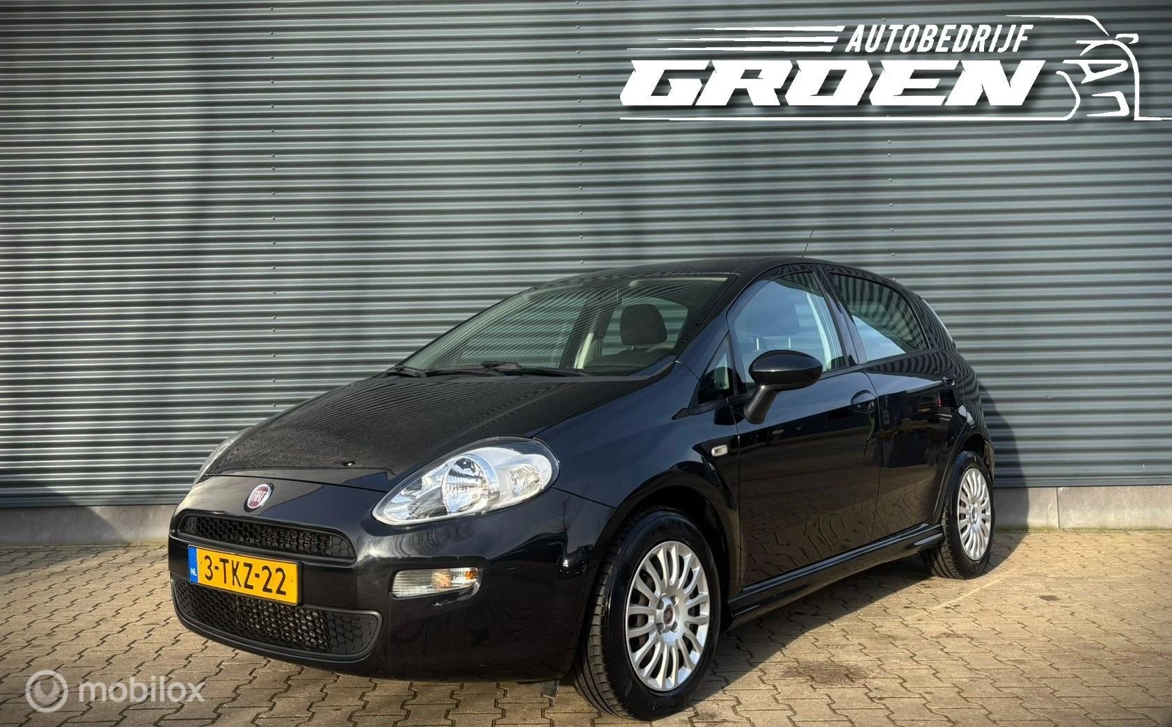 Hoofdafbeelding Fiat Punto