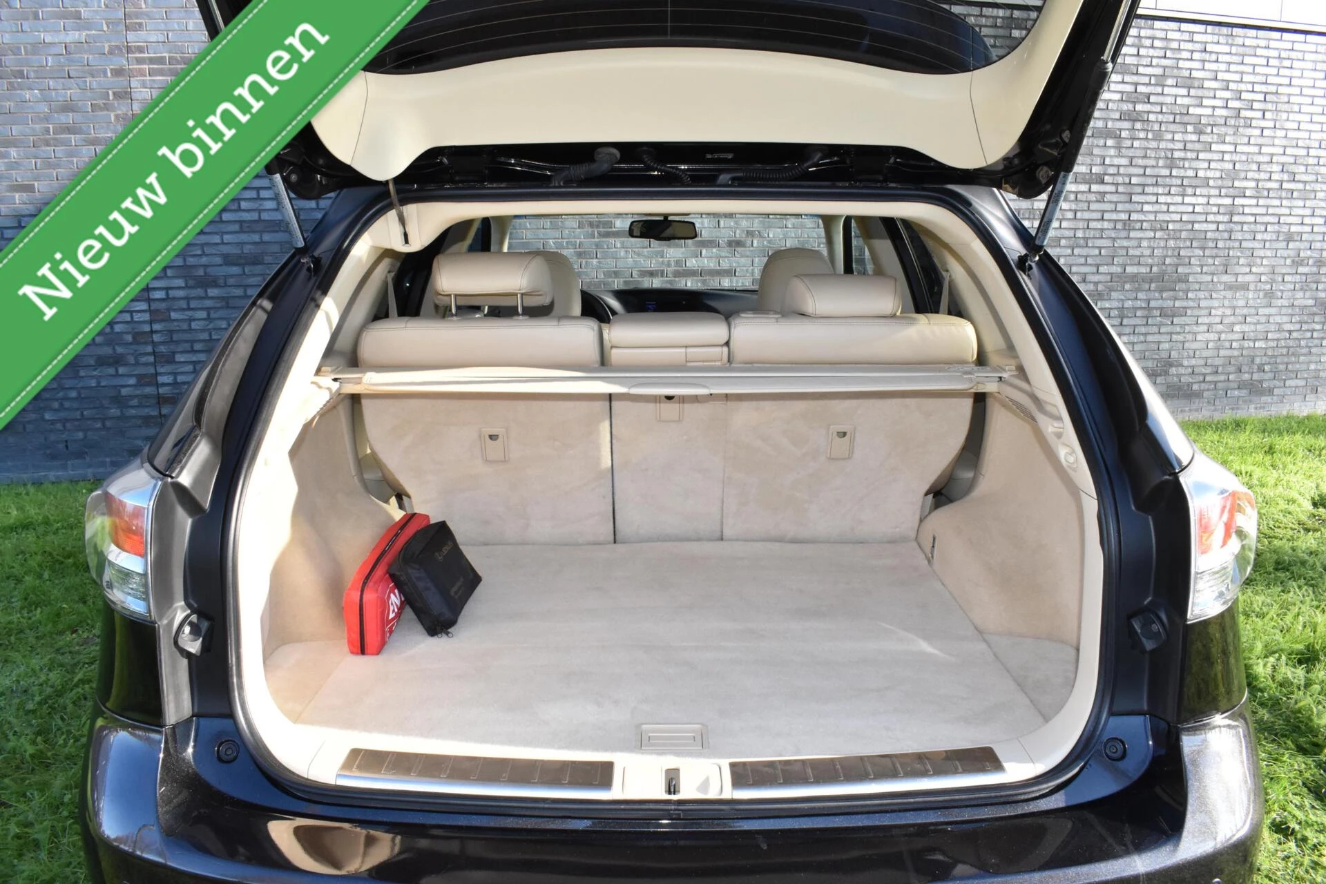 Hoofdafbeelding Lexus RX