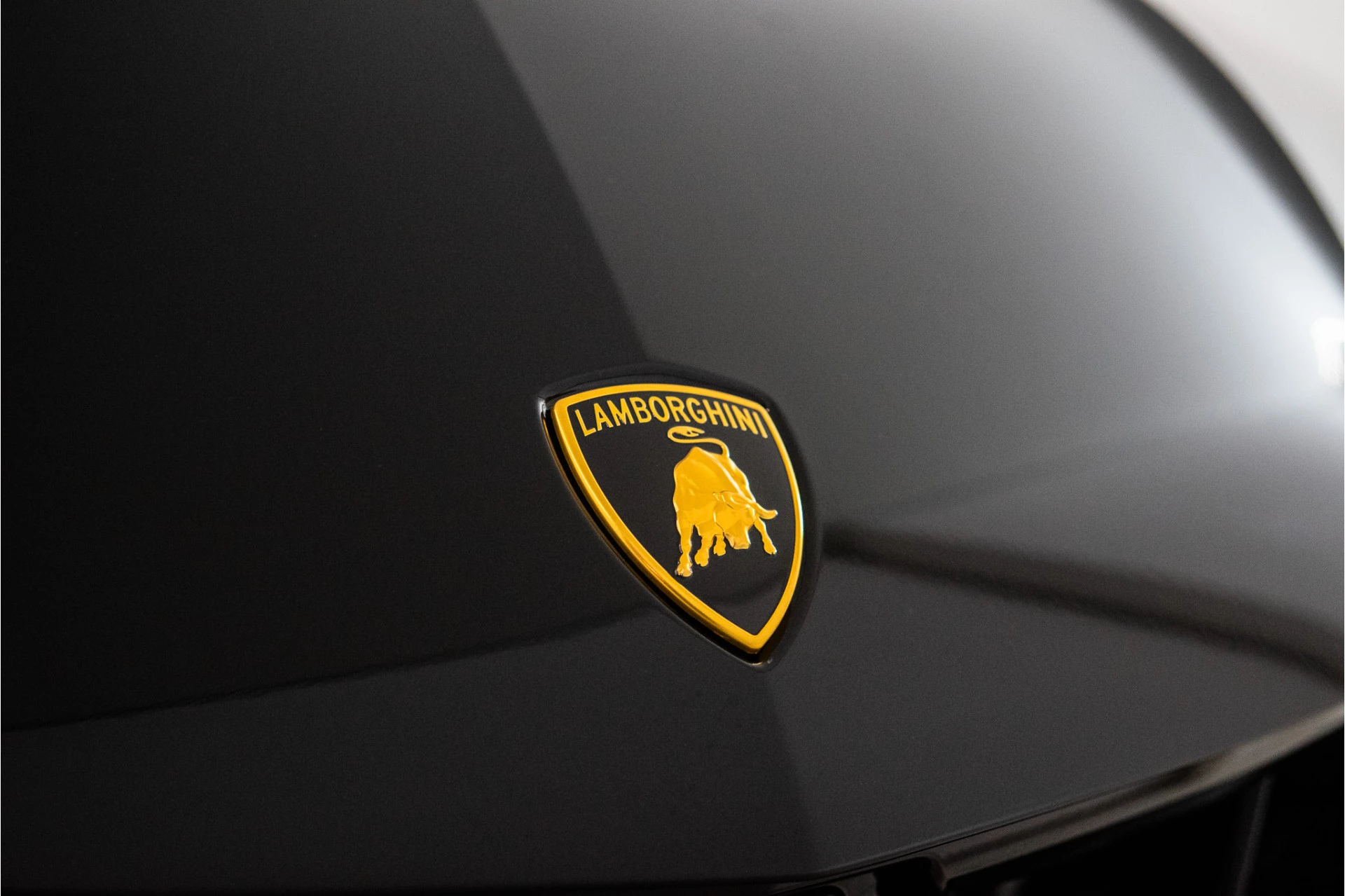 Hoofdafbeelding Lamborghini Urus