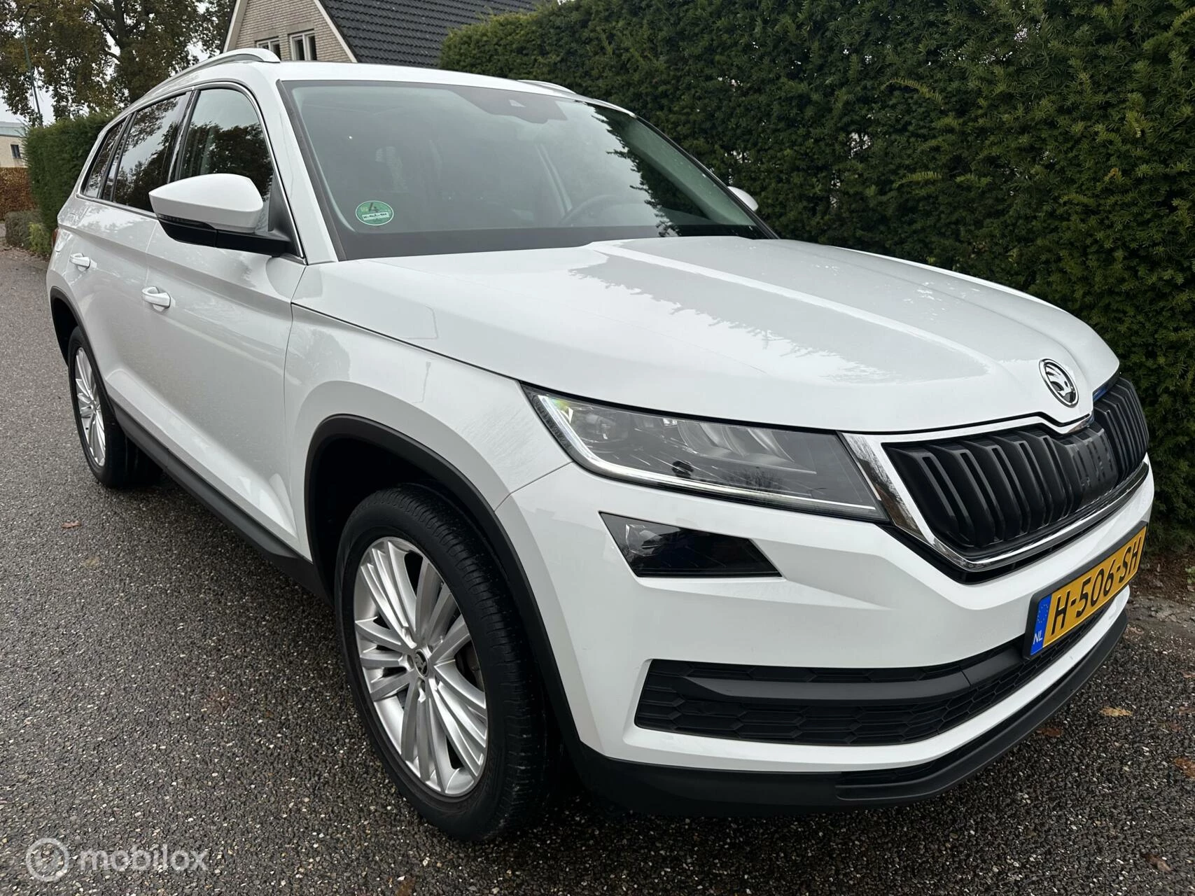 Hoofdafbeelding Škoda Kodiaq