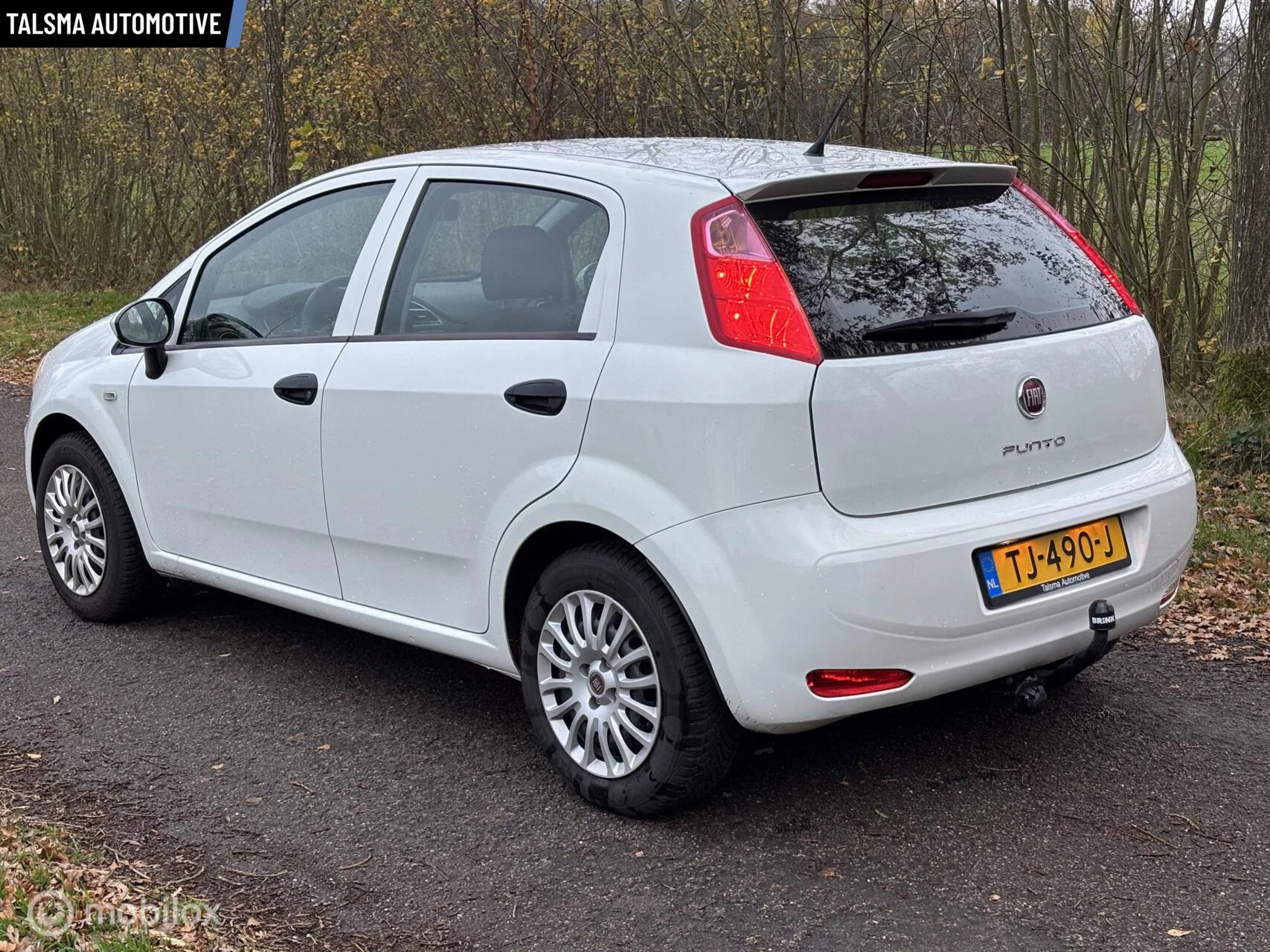 Hoofdafbeelding Fiat Punto