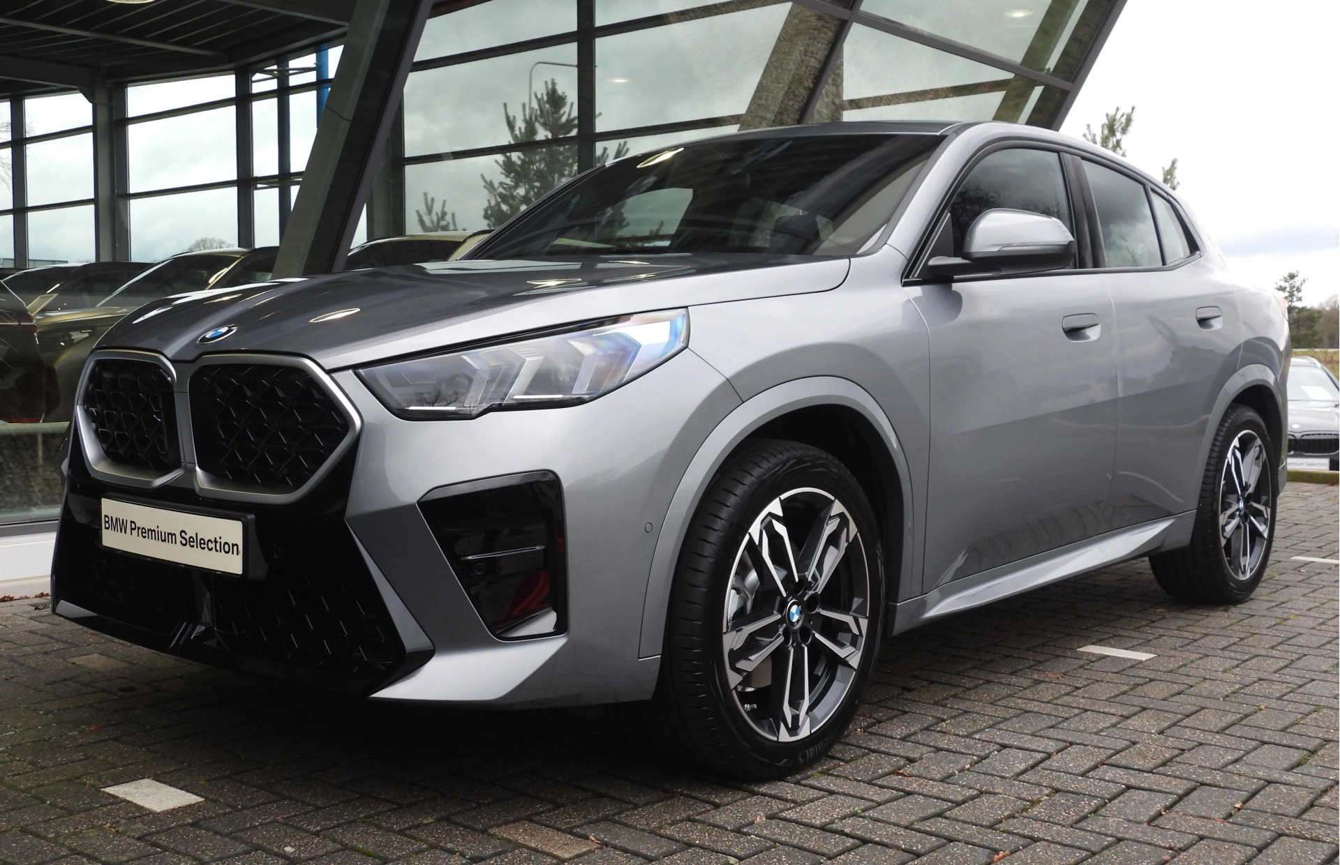 Hoofdafbeelding BMW X2