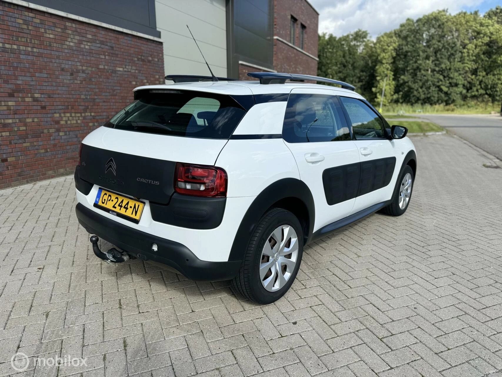 Hoofdafbeelding Citroën C4 Cactus