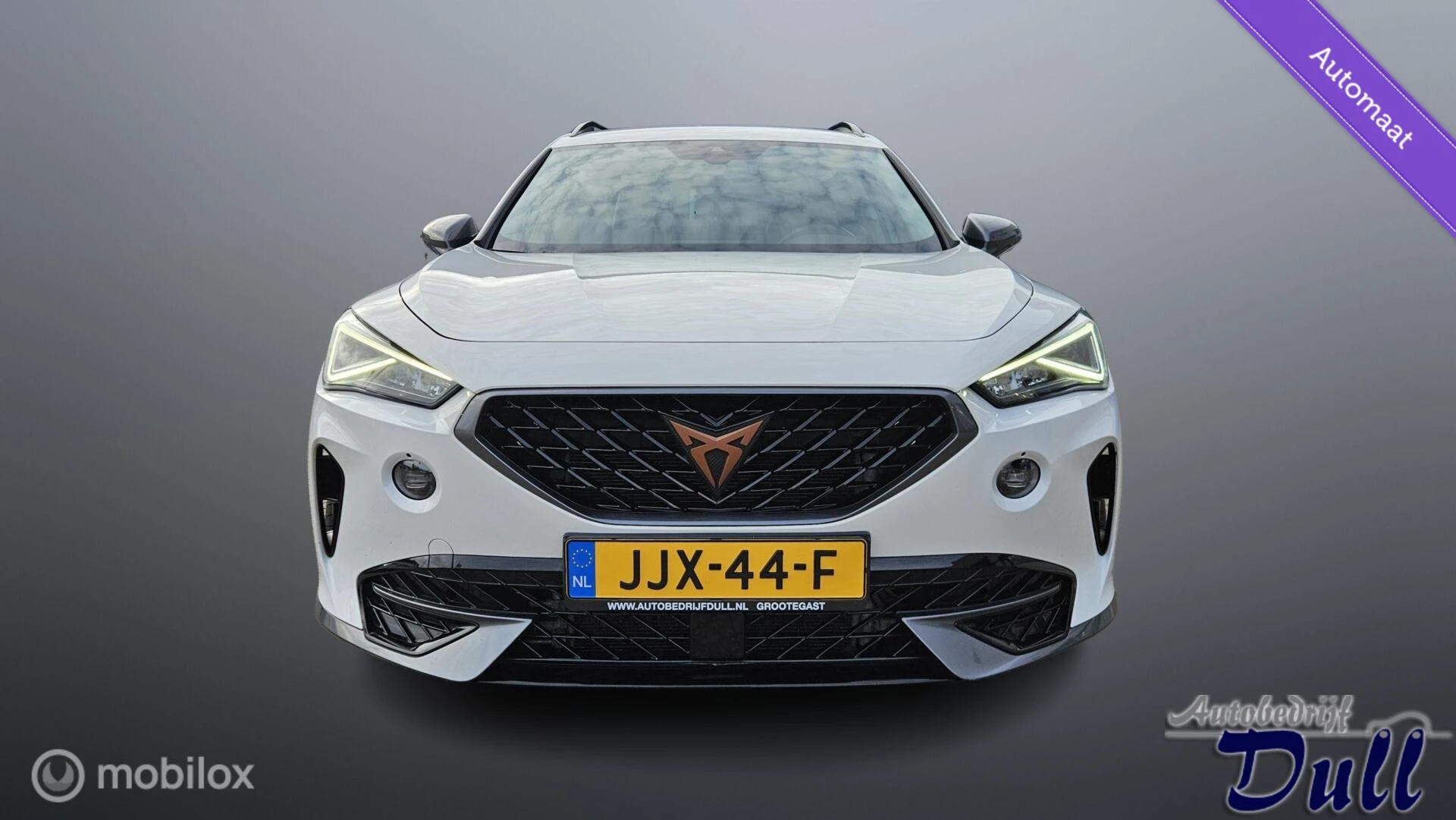 Hoofdafbeelding CUPRA Formentor