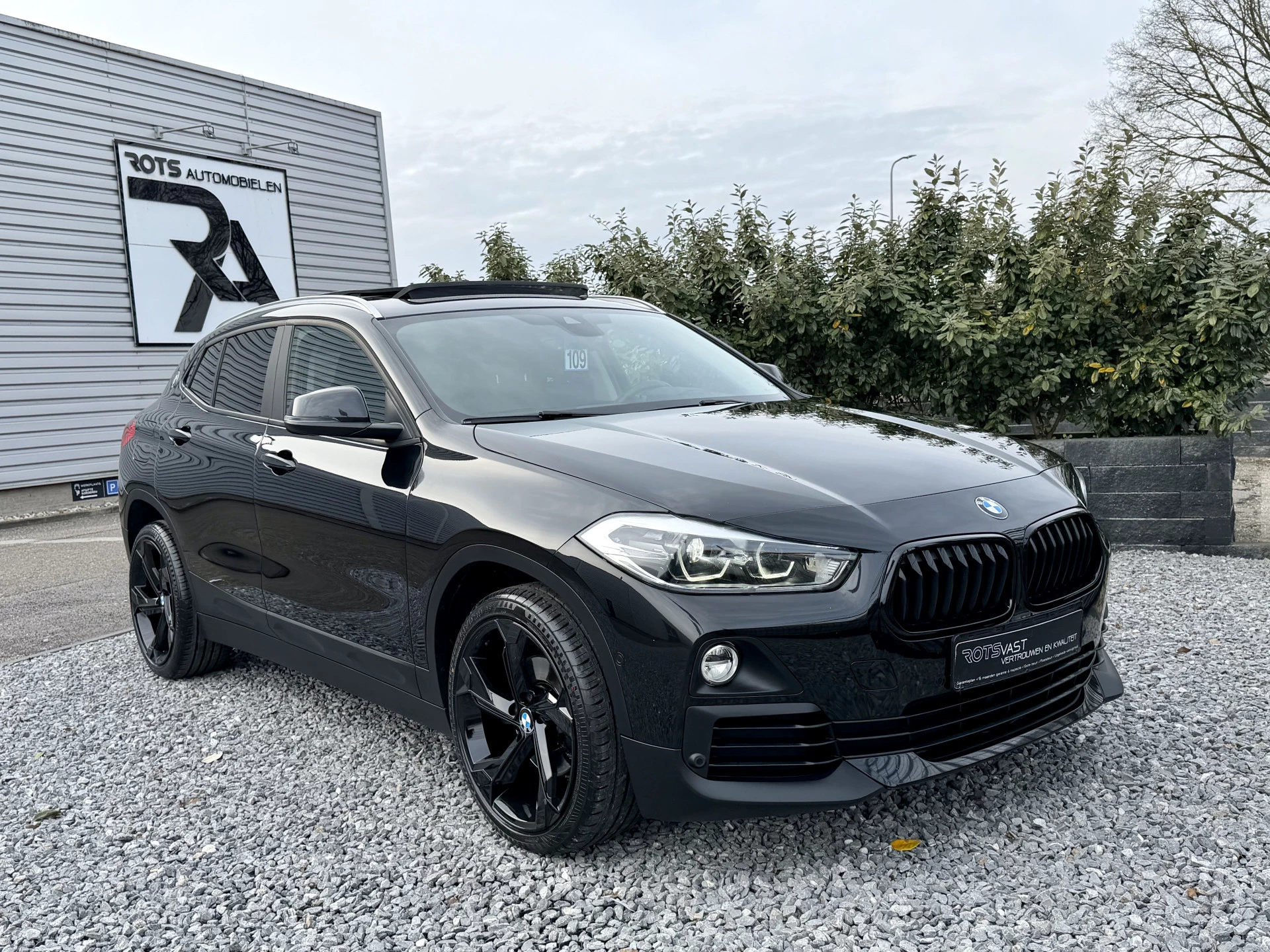 Hoofdafbeelding BMW X2