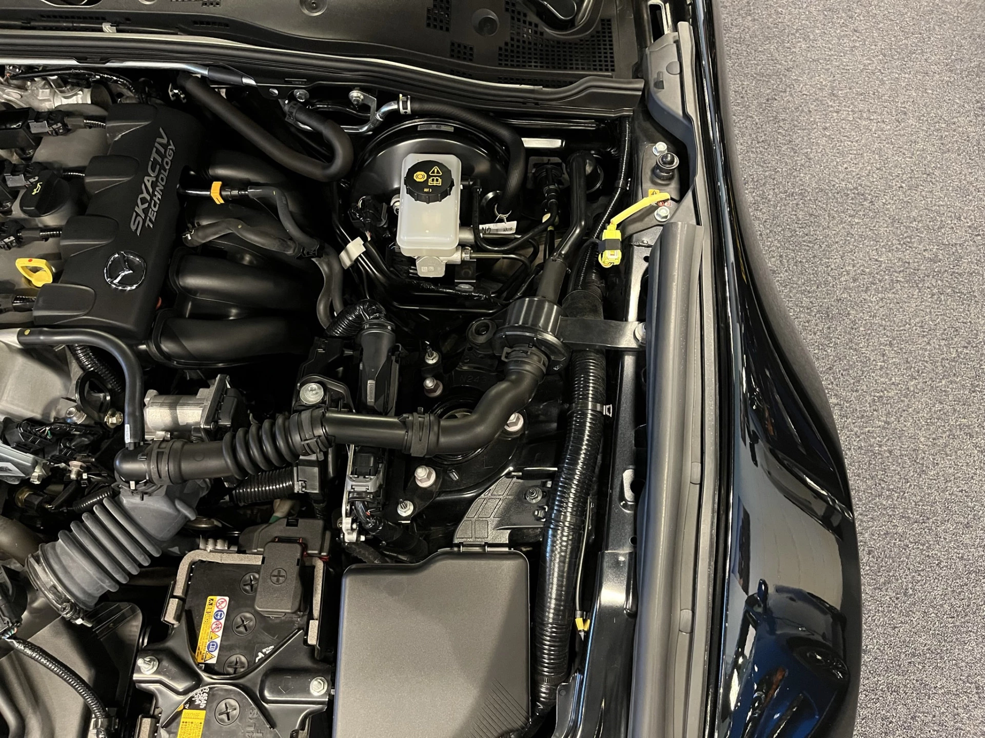 Hoofdafbeelding Mazda MX-5