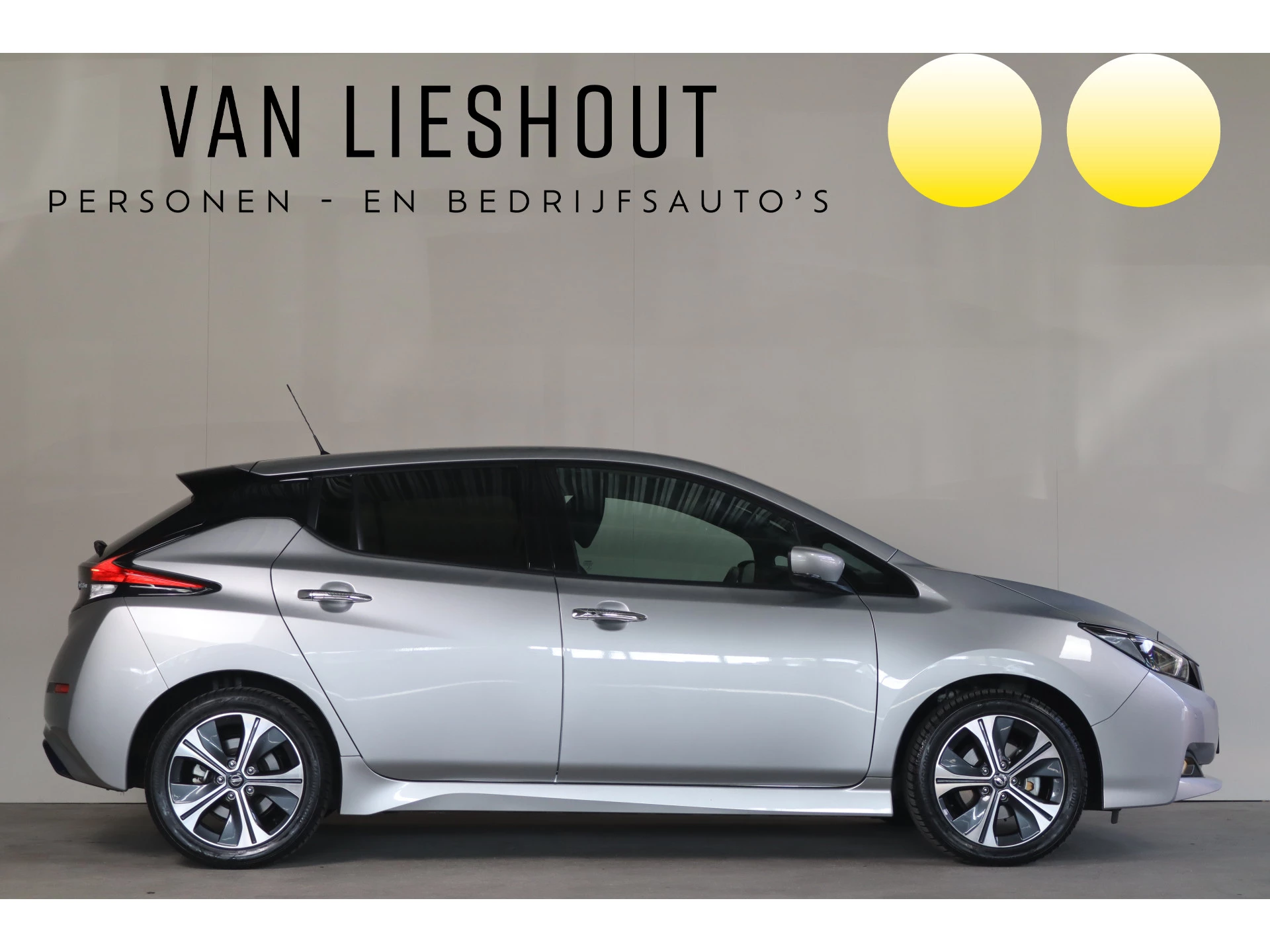 Hoofdafbeelding Nissan Leaf