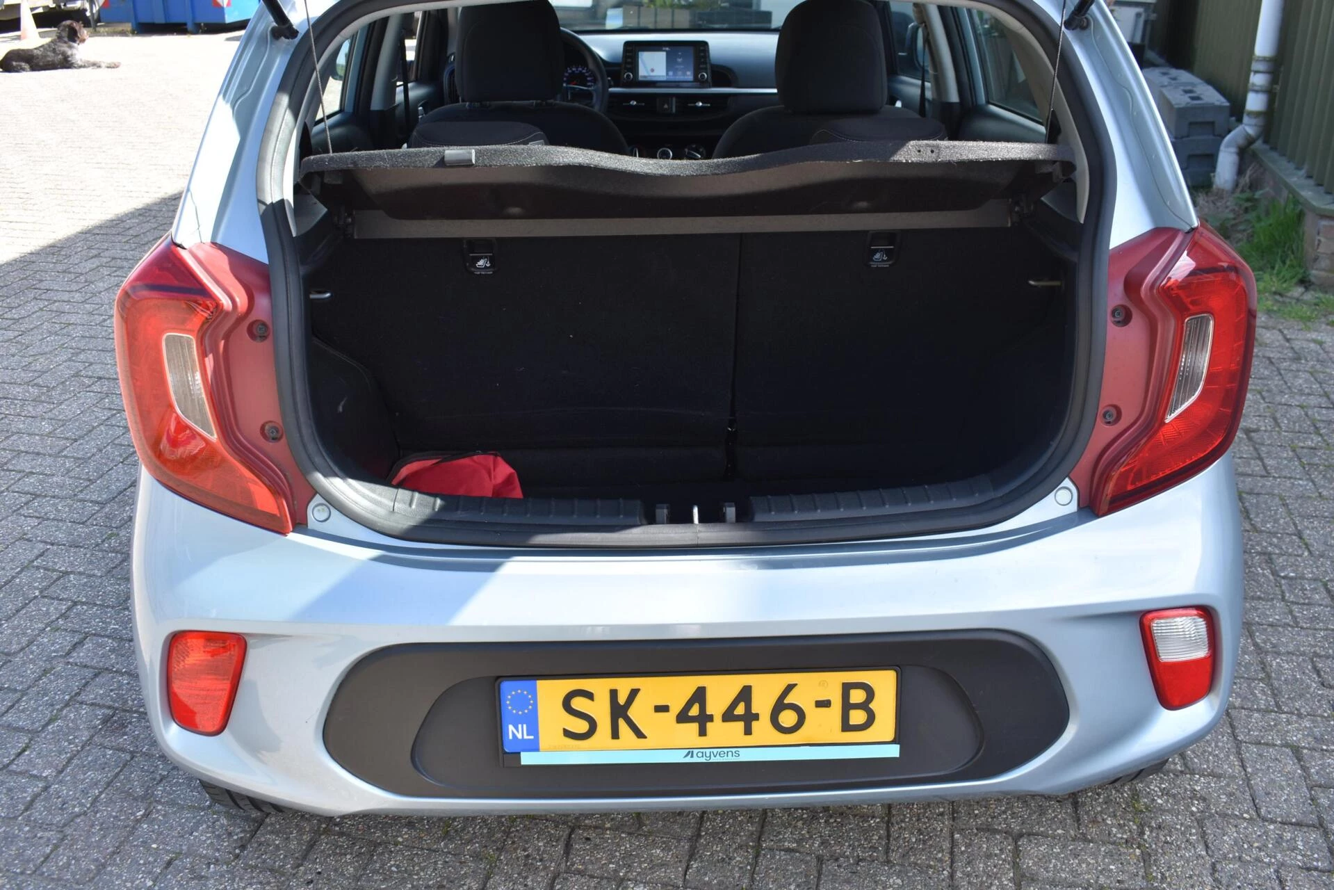 Hoofdafbeelding Kia Picanto