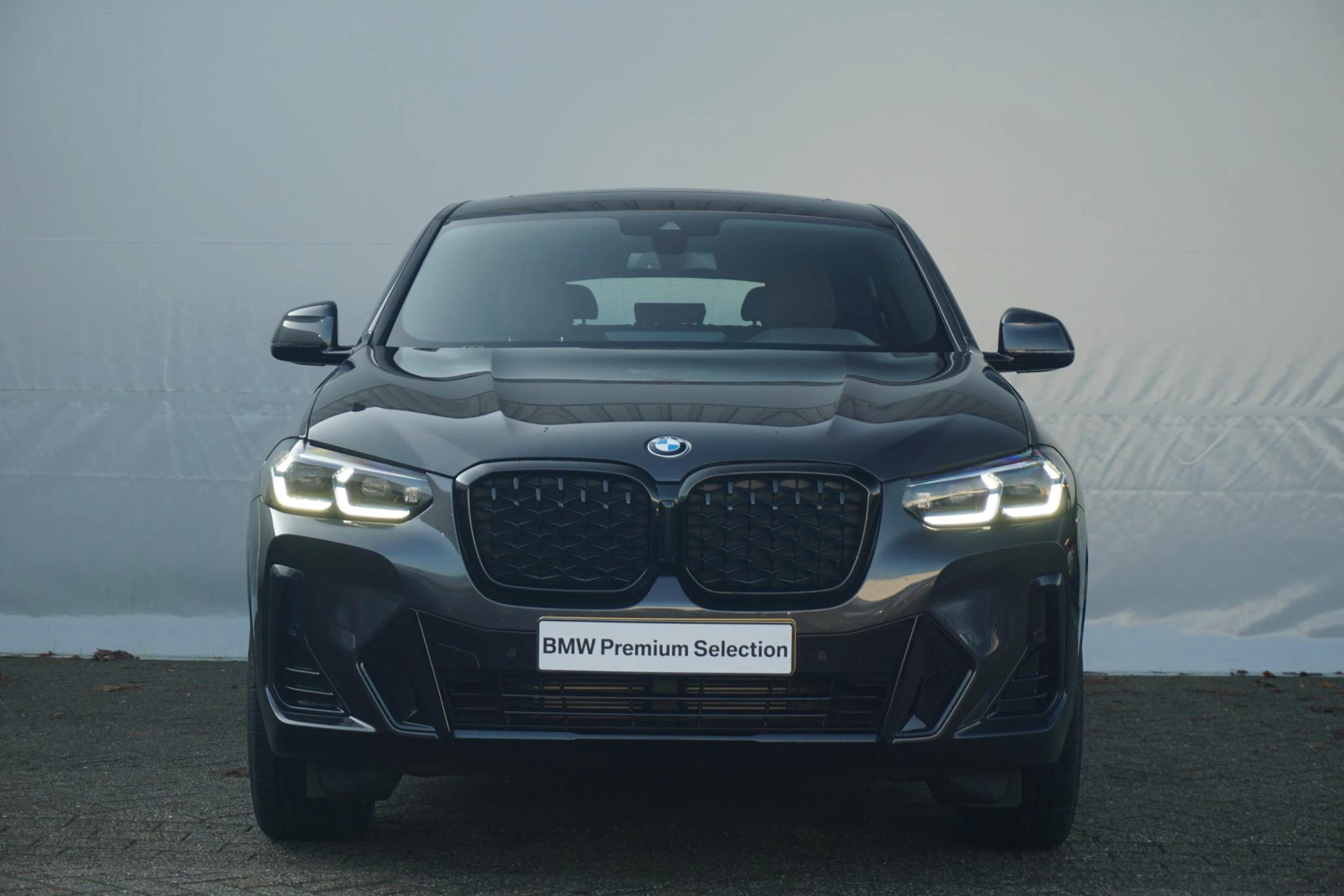 Hoofdafbeelding BMW X4