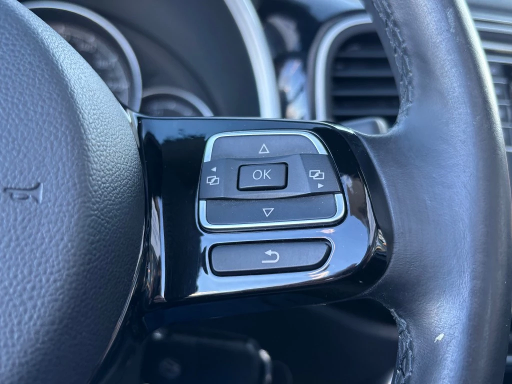 Hoofdafbeelding Volkswagen Beetle