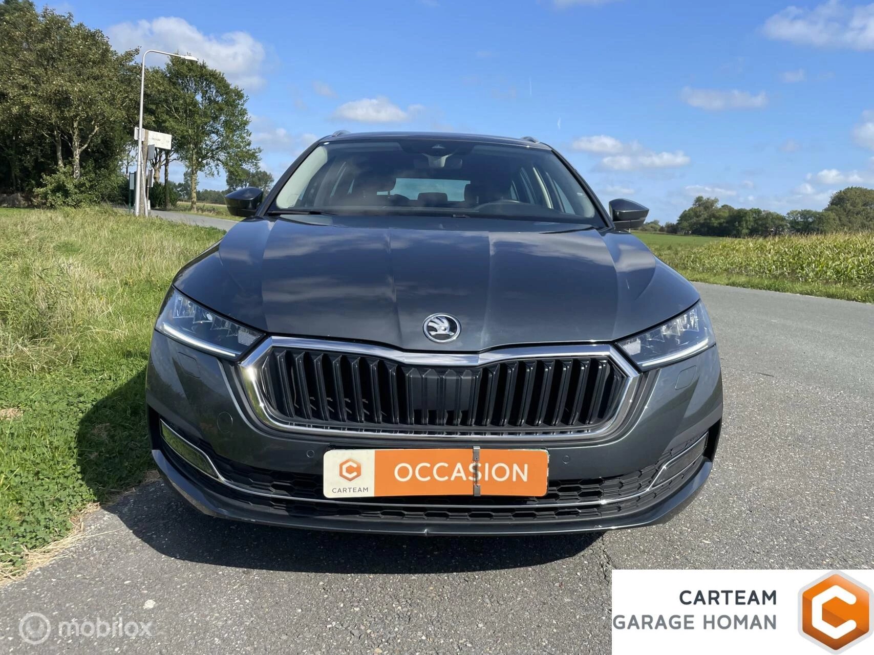 Hoofdafbeelding Škoda Octavia