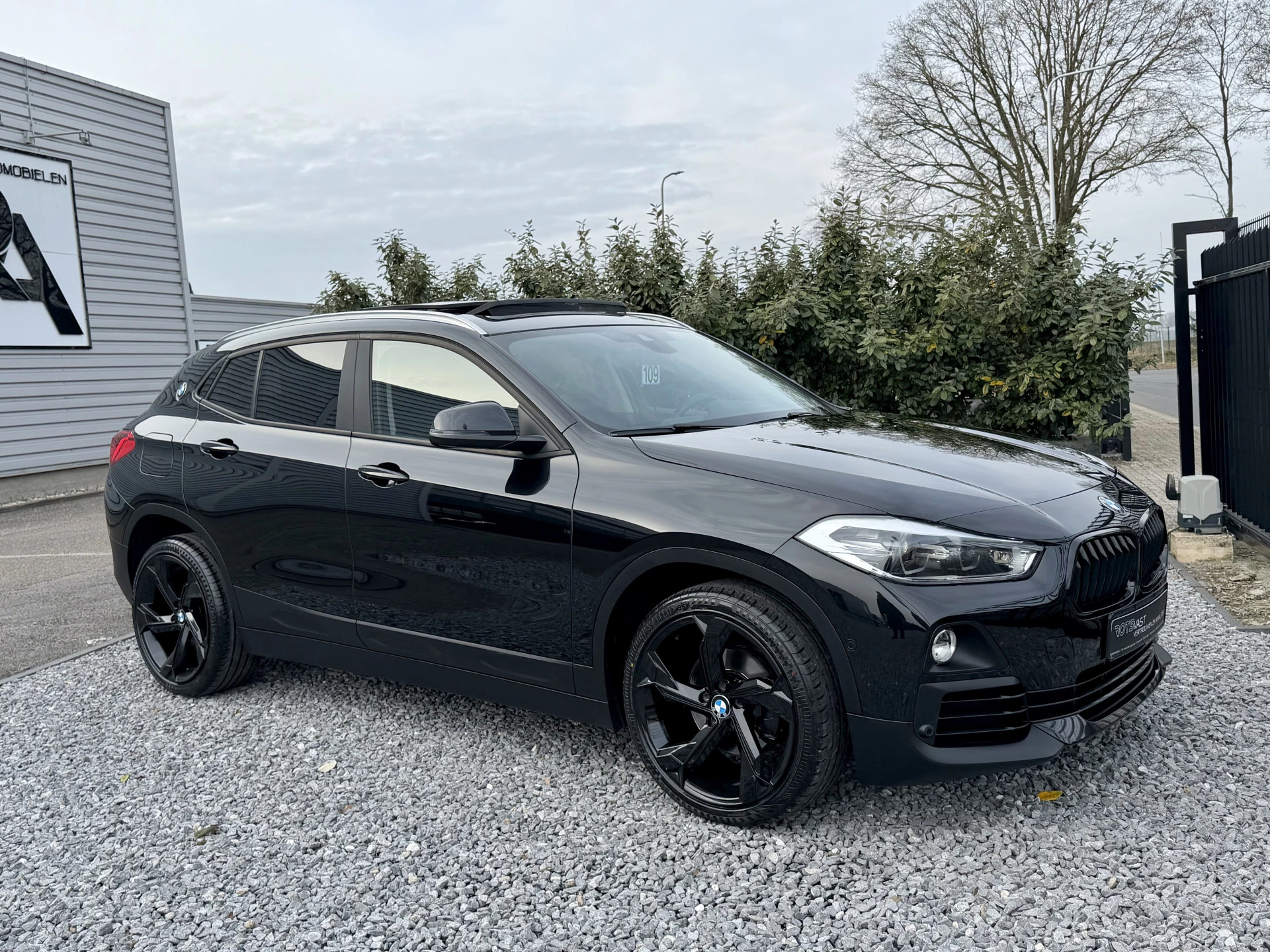 Hoofdafbeelding BMW X2