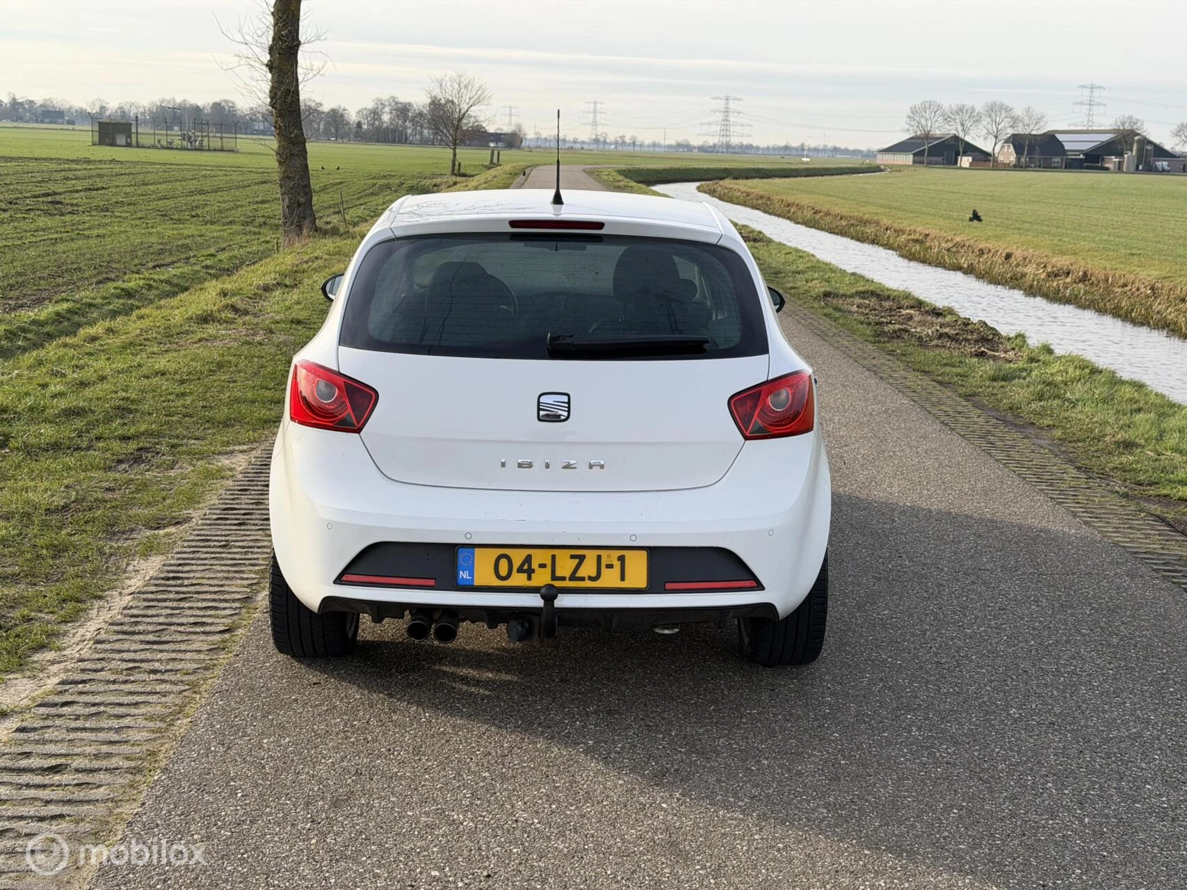 Hoofdafbeelding SEAT Ibiza