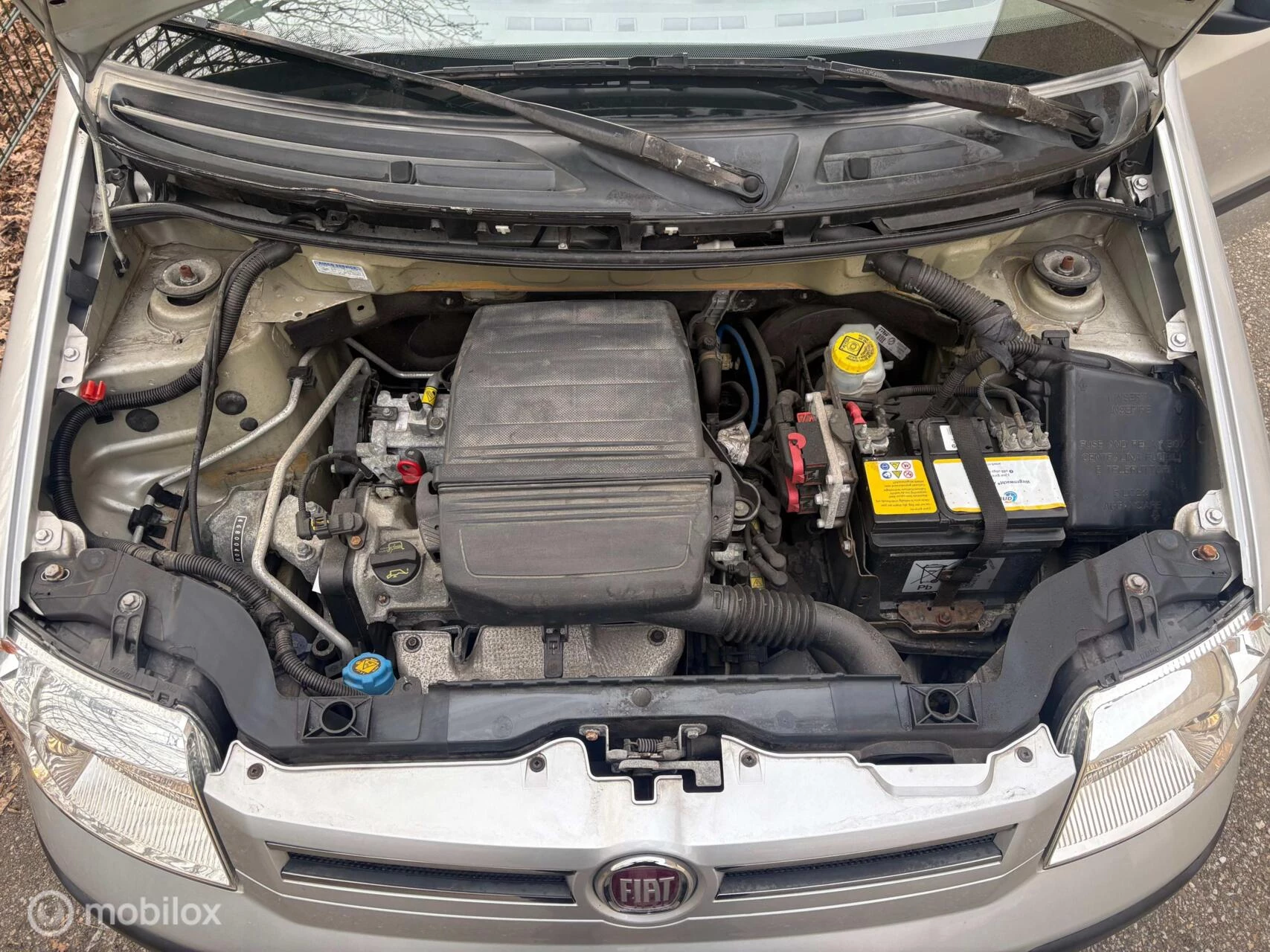 Hoofdafbeelding Fiat Panda