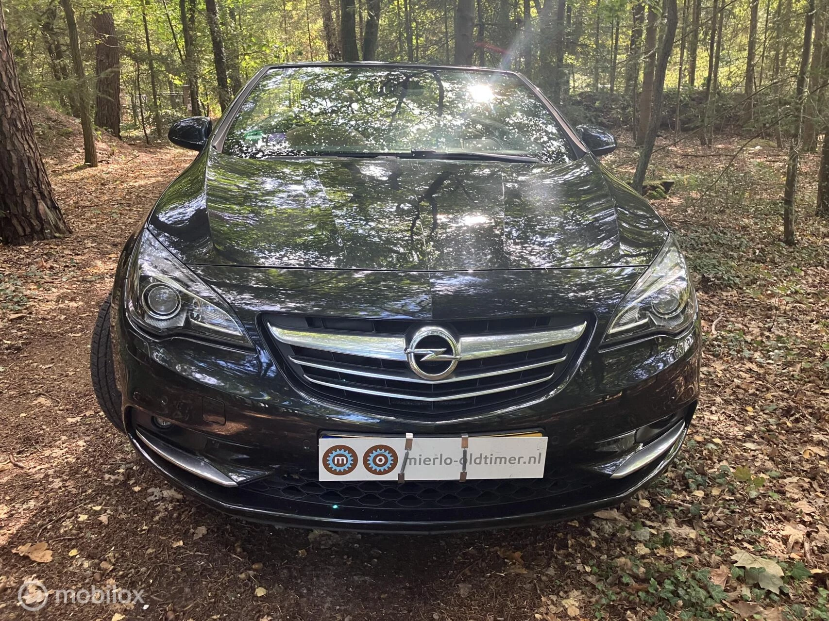 Hoofdafbeelding Opel Cascada