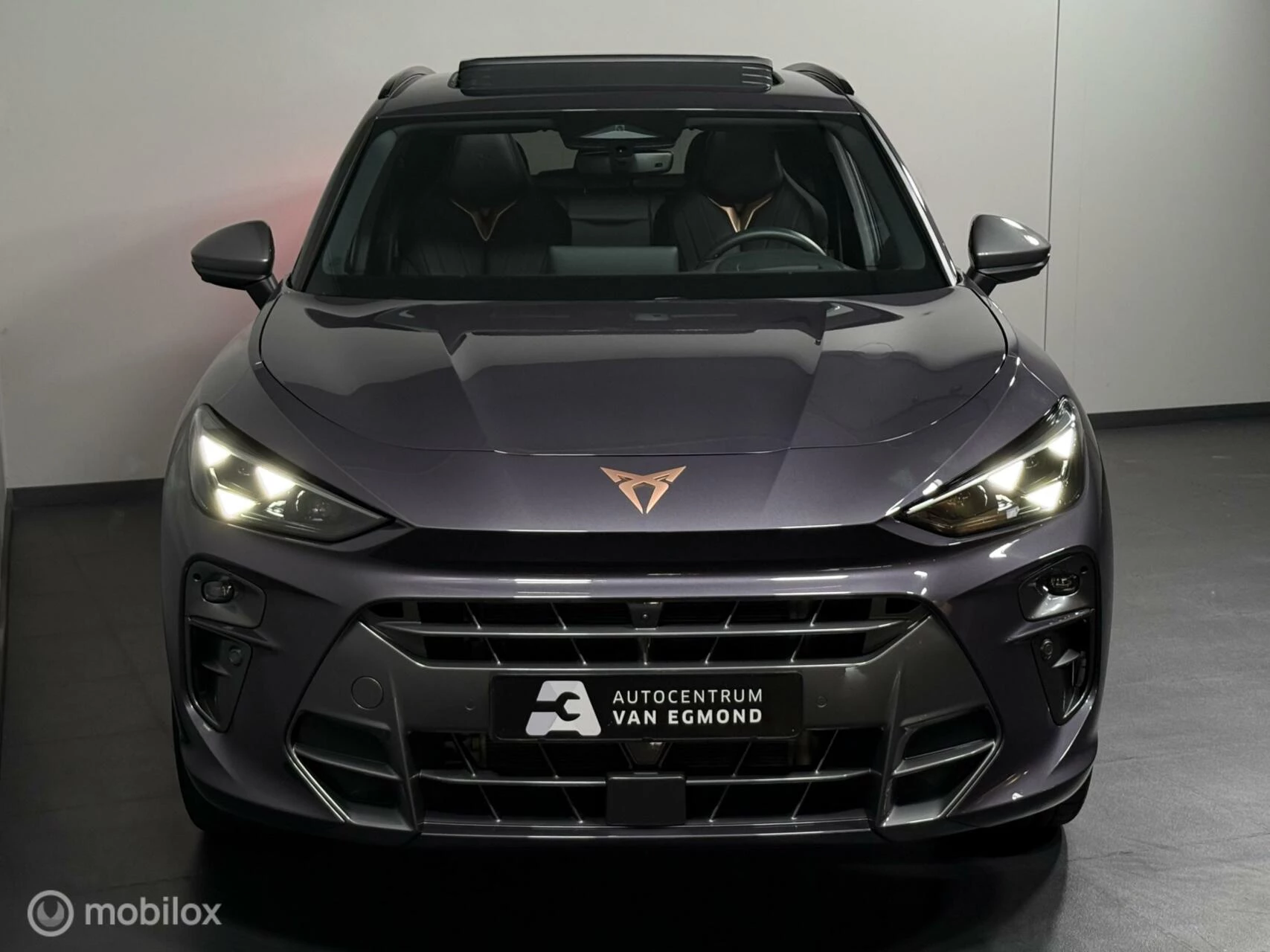 Hoofdafbeelding CUPRA Terramar