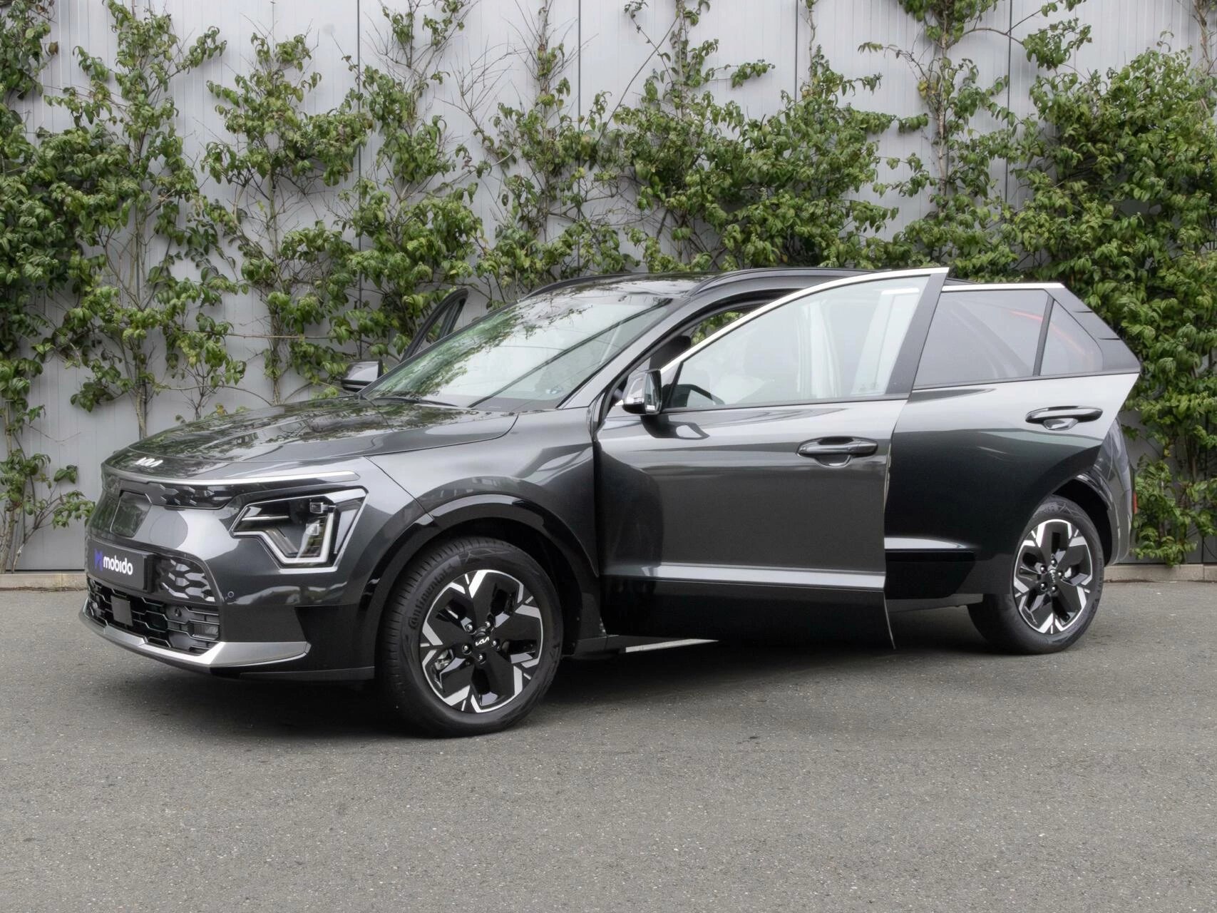 Hoofdafbeelding Kia Niro EV