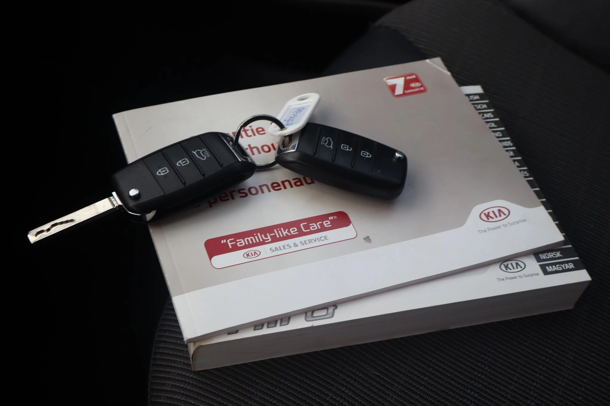 Hoofdafbeelding Kia Niro